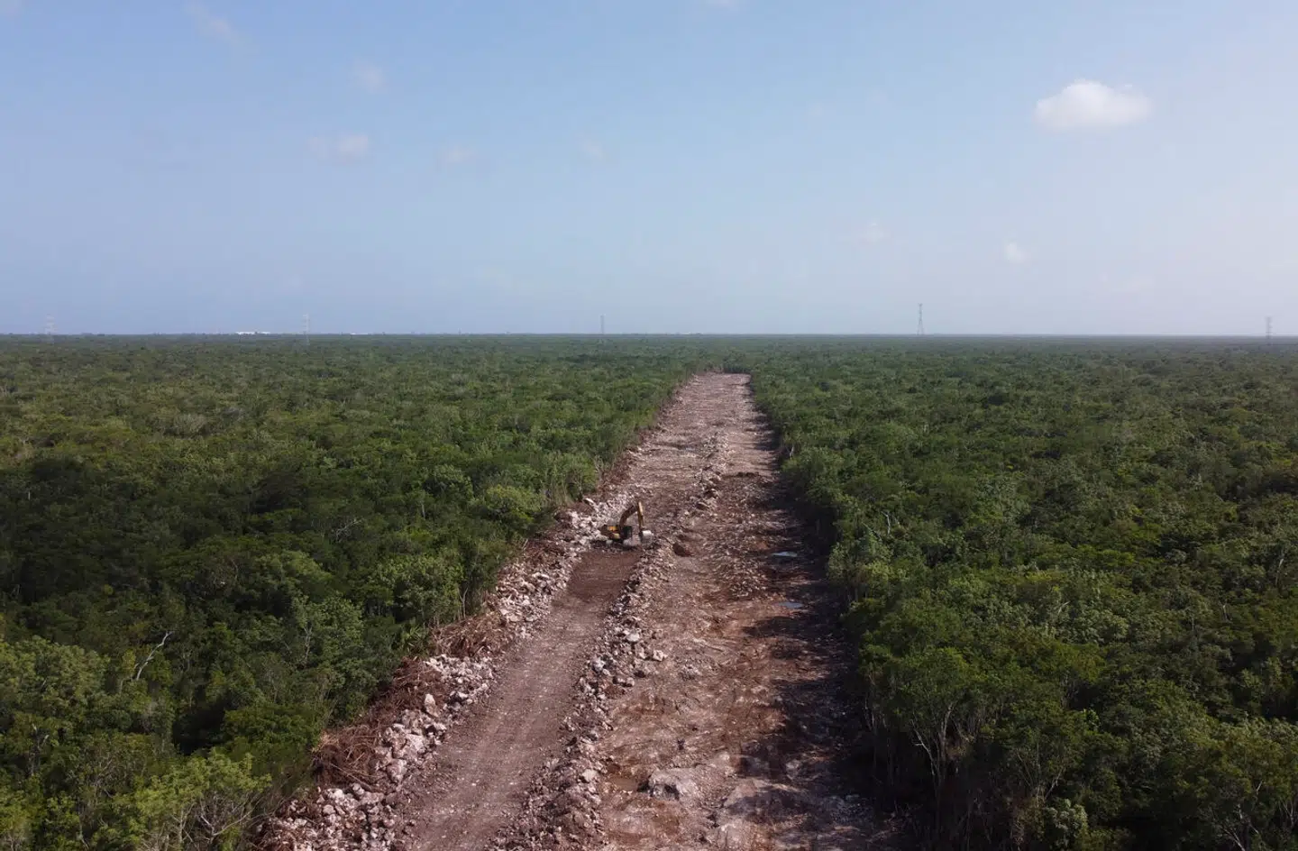 Den seneste masseudrydelse af arter fandt sted for cirka 65 millioner år siden, hvor en kæmpe meteor slog ned ved Yucatán-halvøen ved Mexico. Foto: Eduardo Verdugo, Ritzau, Scanpix