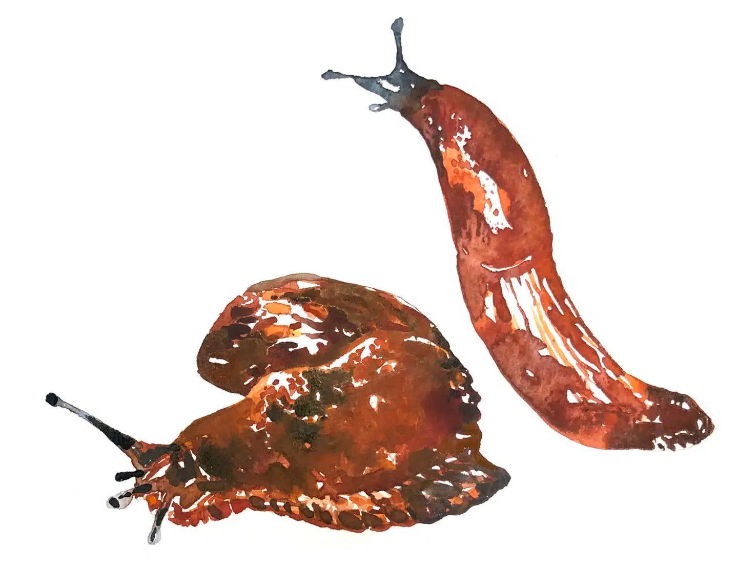 Illustration: Peter Wandel