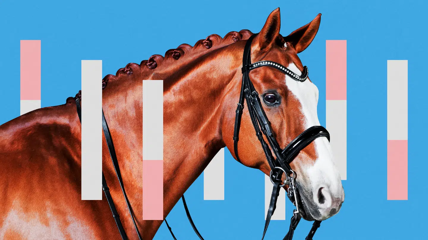 Illustration: Mathias Hoeg.