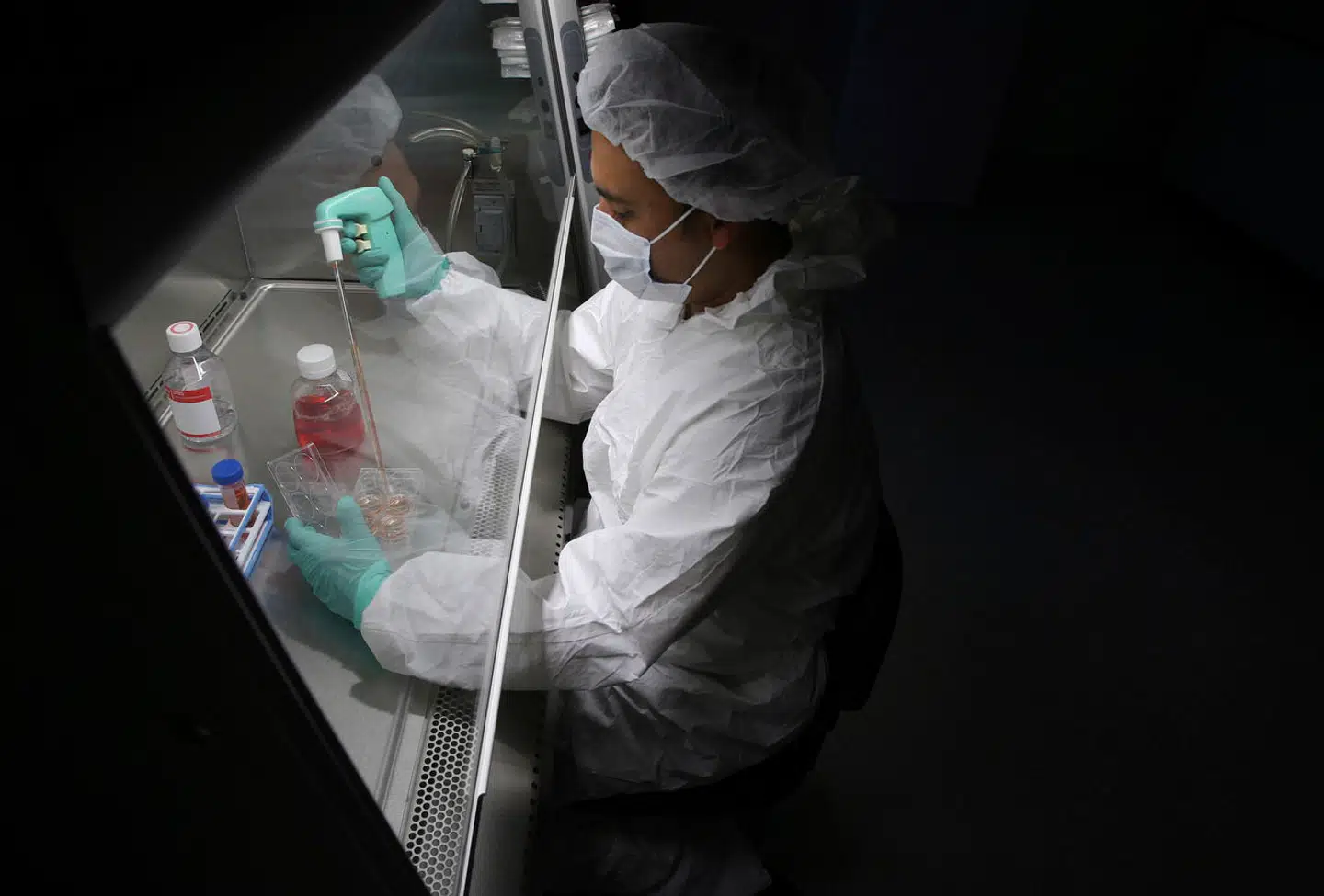 Arkivfoto: Michael Macor, Scanpix