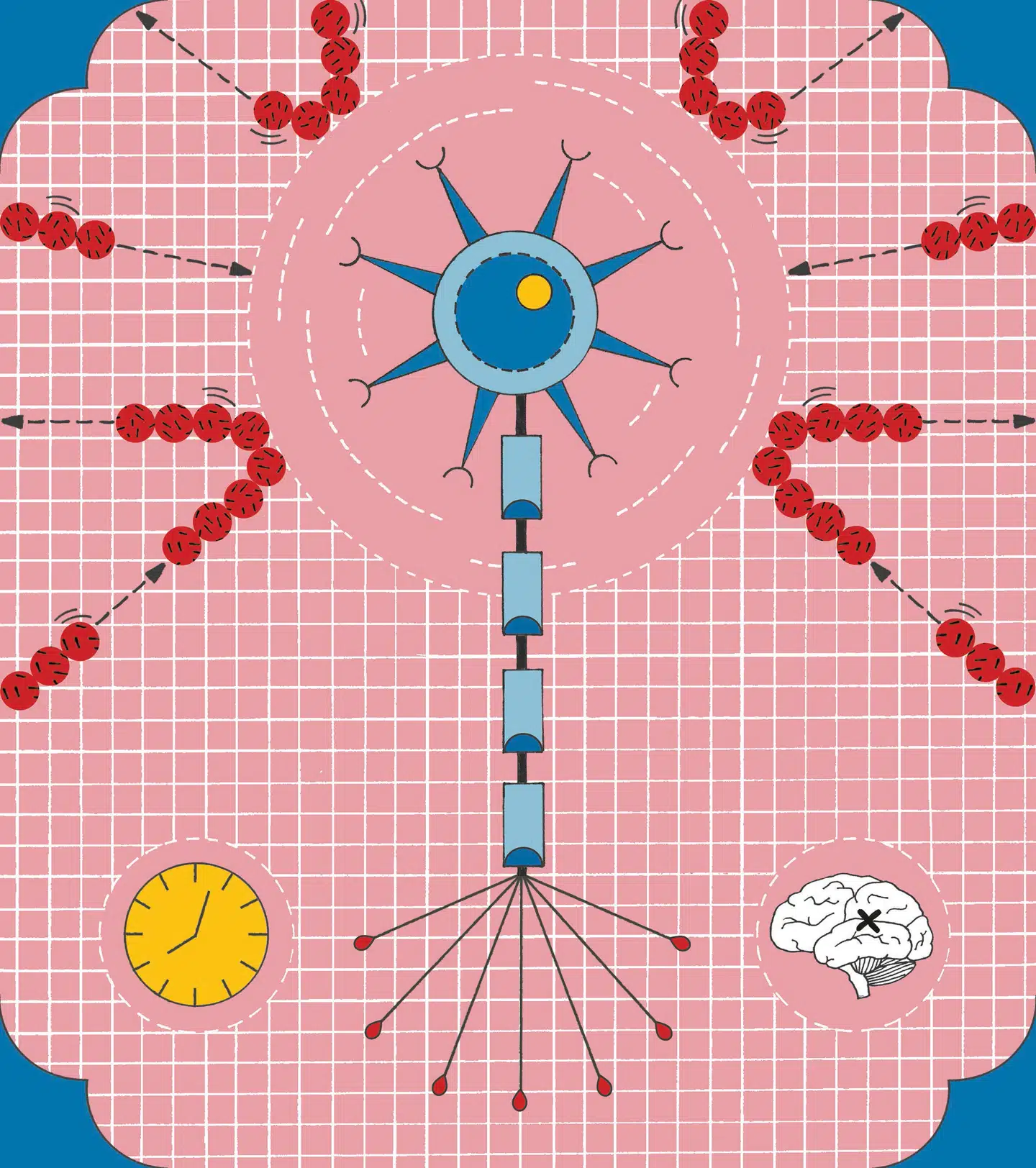 Demens er kendetegnet ved, at forskellige proteiner klistrer sig til hjernecellerne og nedbryder dem. Det nye lægemiddel Lecanemab ser ud til at beskytte hjernecellerne mod beta-amyloid; et af de problematiske proteiner. Illustration: Signe Bagger