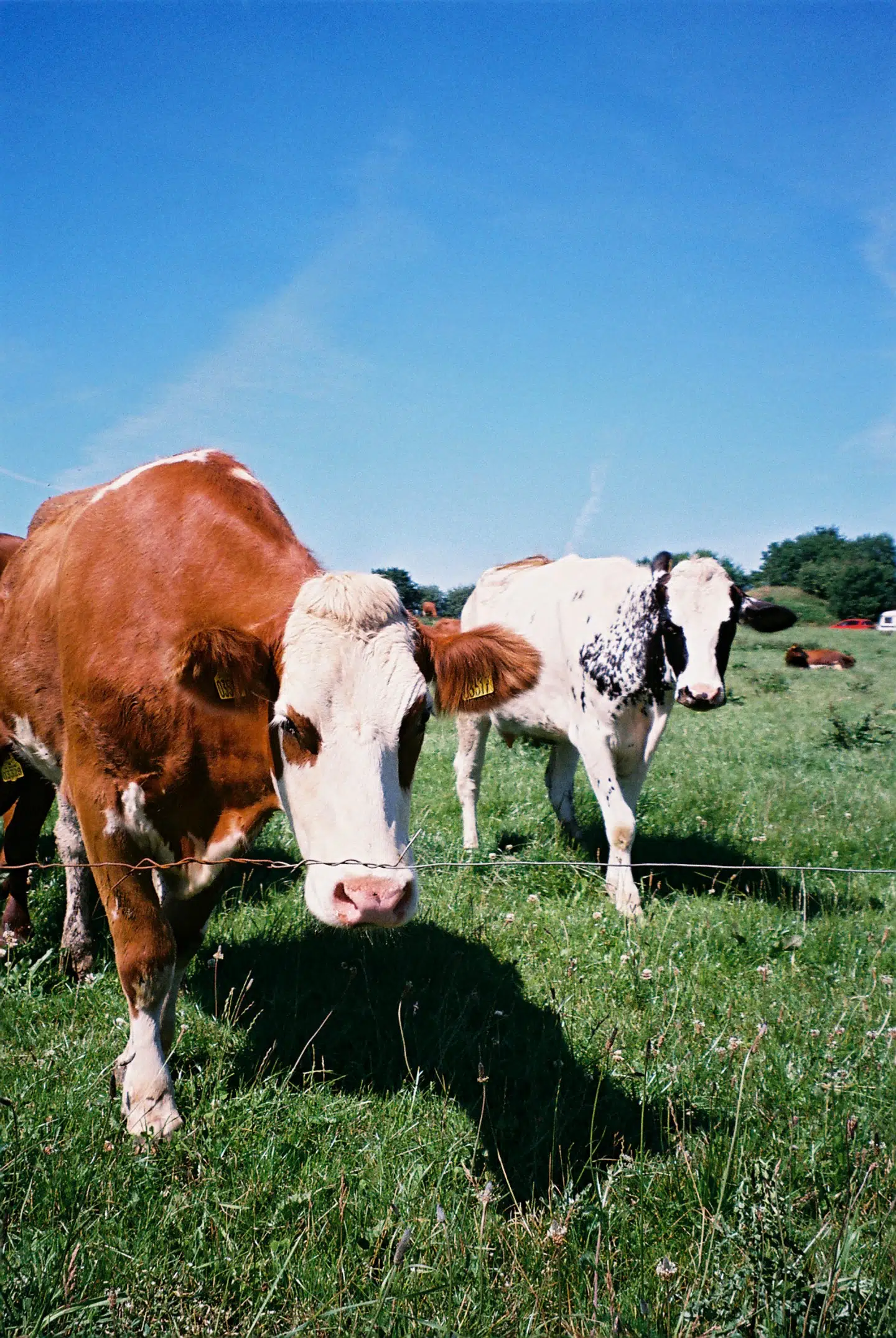 Foto: Simon Ejbye Schmidt