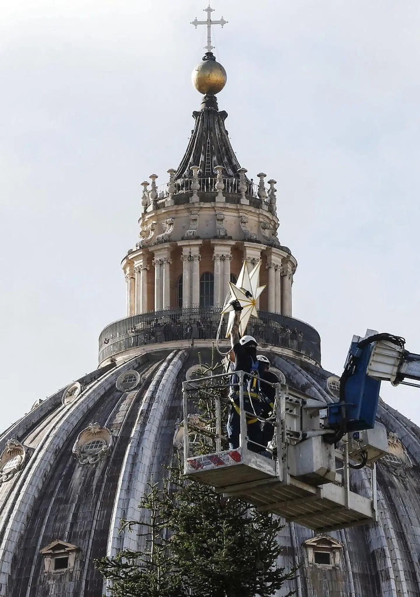 Den 26 meter høje ædelgran får en stjerne på toppen. Foto: Fabio Frustaci, Scanpix