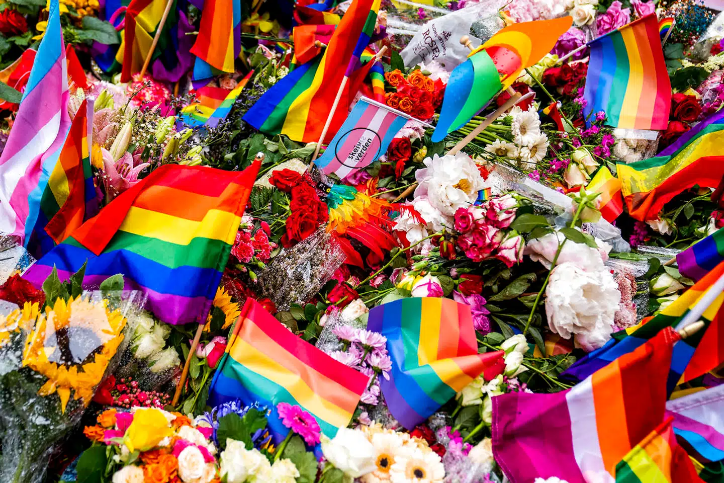 To mistede livet, og flere end 20 blev såret, da en norsk-iraner i juni i år åbnede ild op til den årlige Oslo Pride. »En ekstrem, islamistisk terrorhandling,« kalder norsk politis sikkerhedstjeneste det. Foto: Javad Parsa, Scanpix