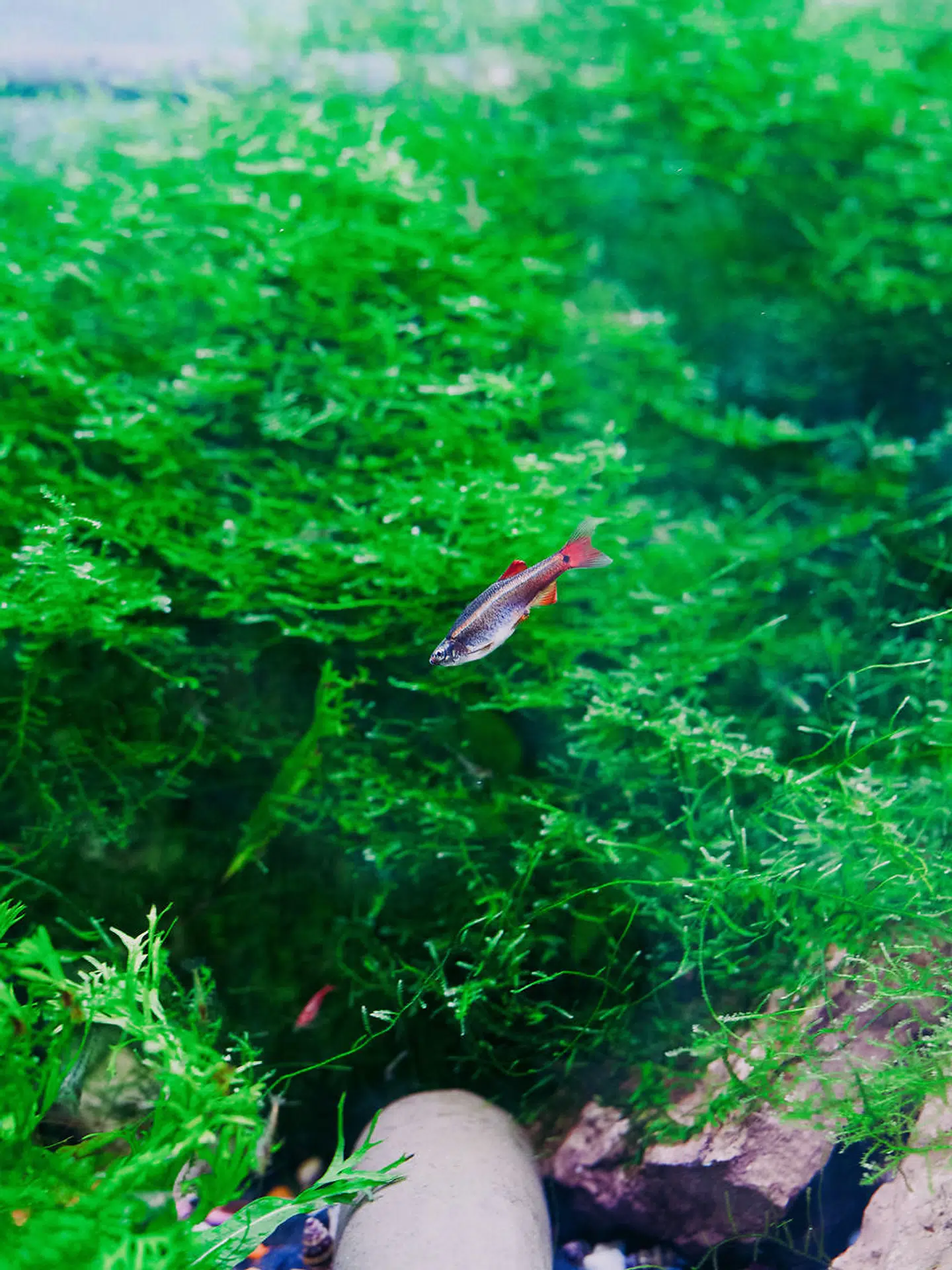 Foto: Kasper Løftgaard