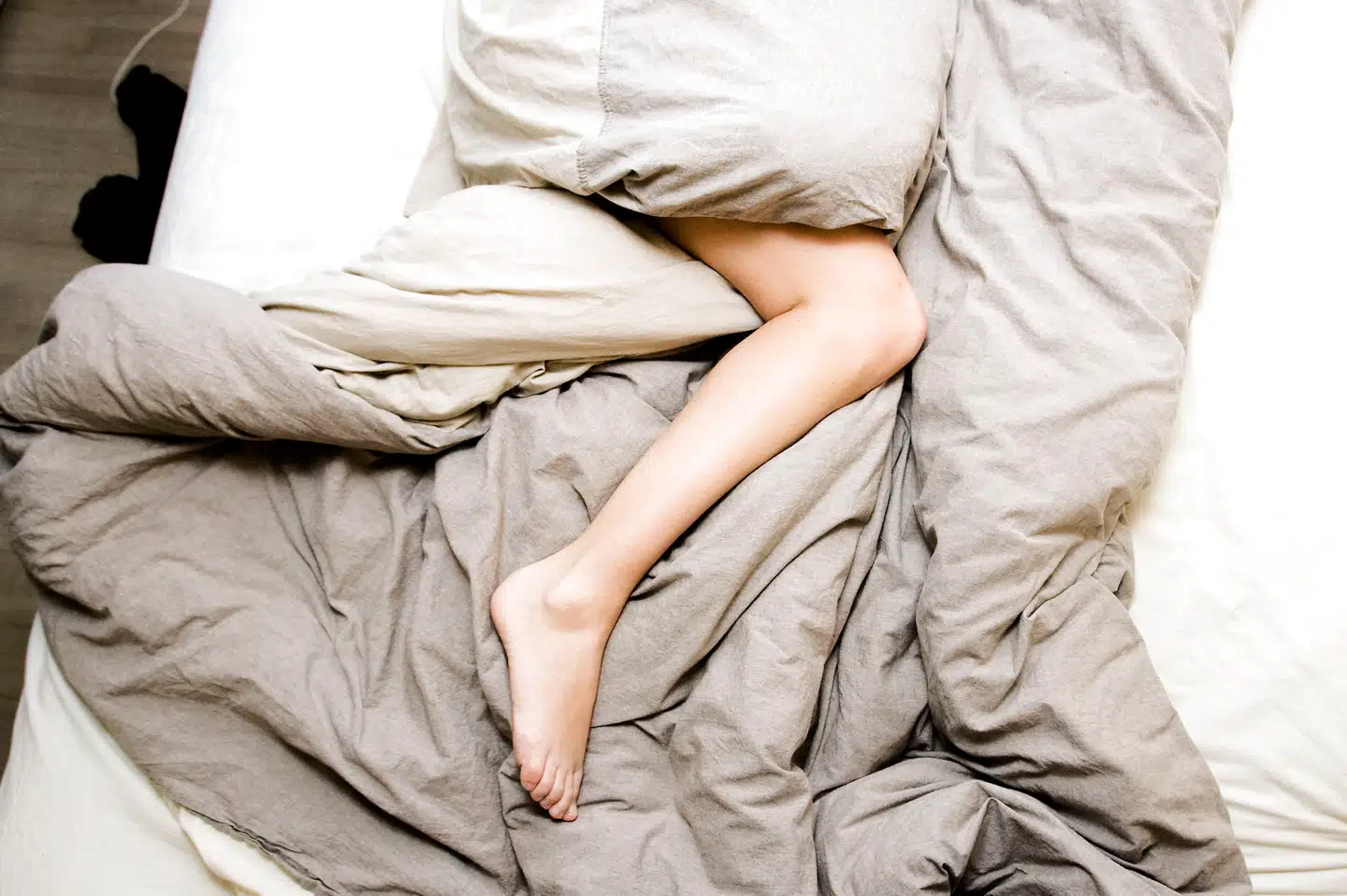 Arkivfoto: Sisse Stroyer, Scanpix.