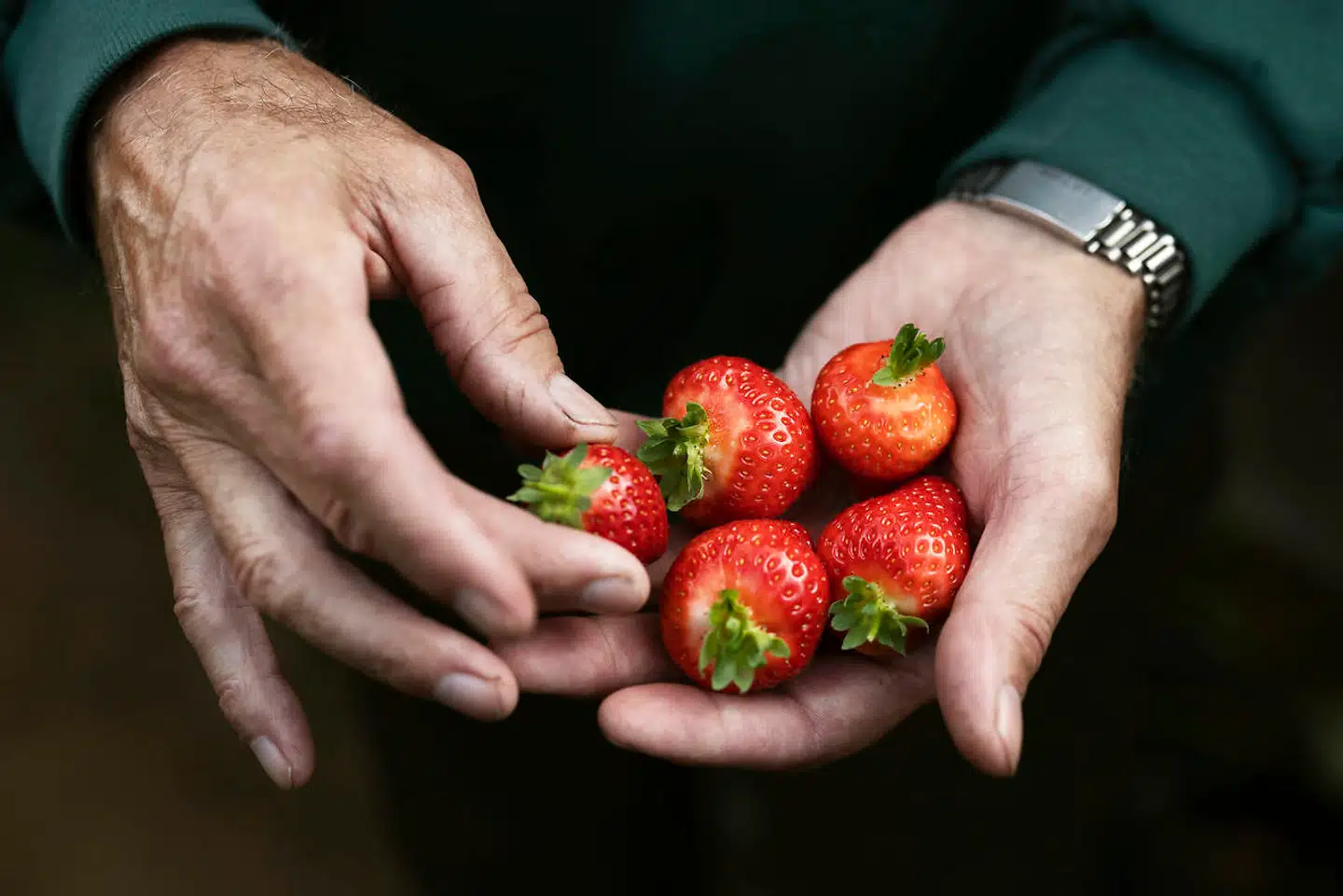 Foto: Tor Birk Trads.