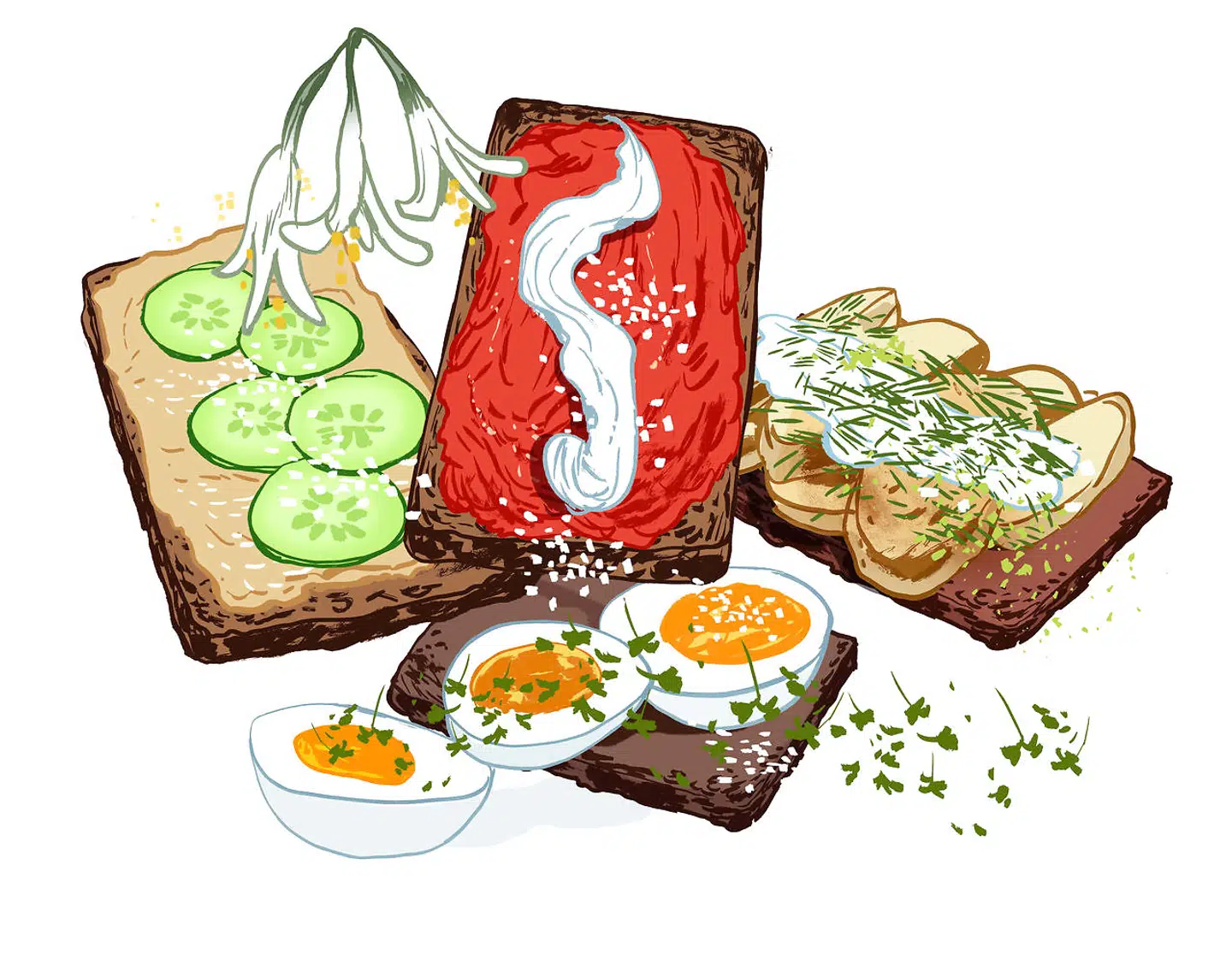 Illustration: Rasmus Meisler