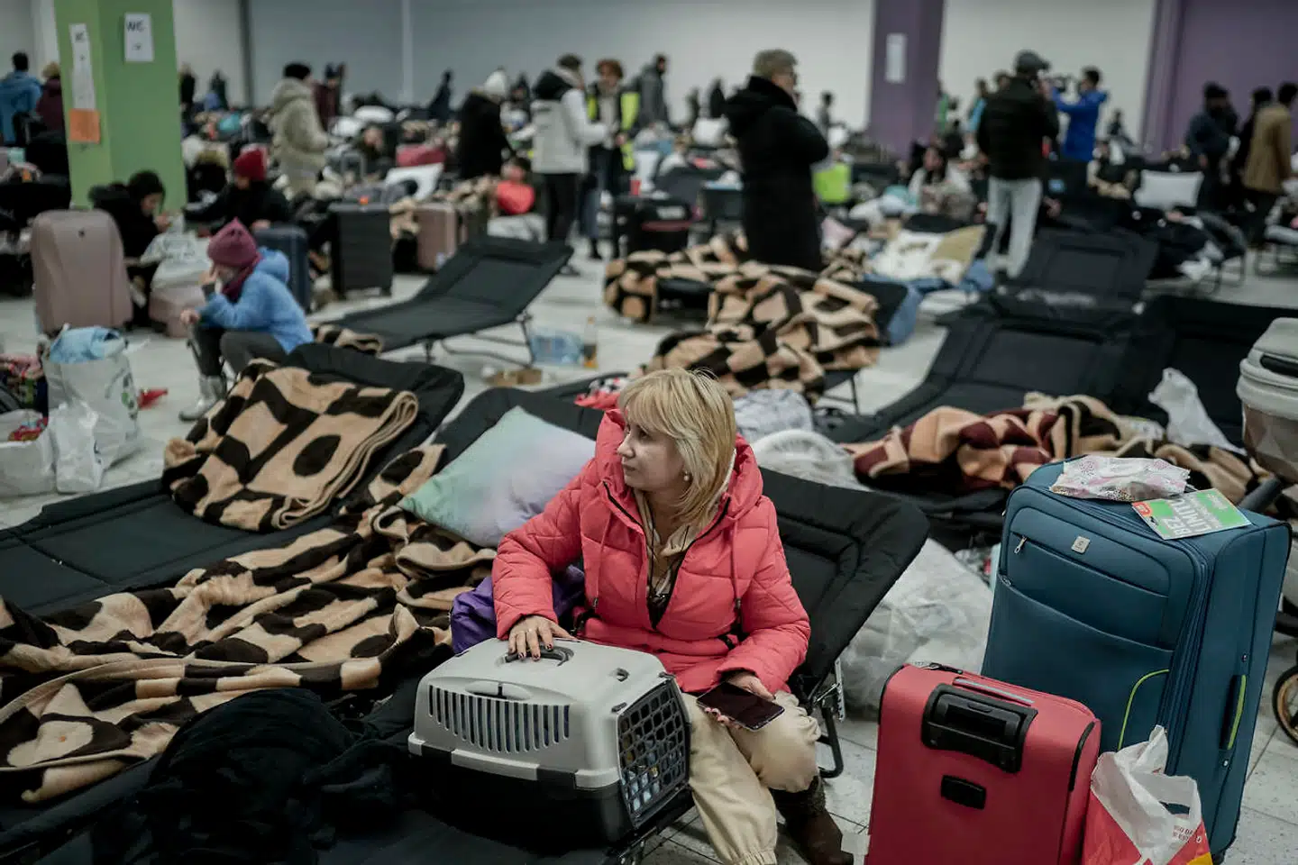 En flygtning fra Ukraine i et af de mange modtagecentre, som Polen har måttet oprette efter Ruslands angreb. Foto: Asger Ladefoged