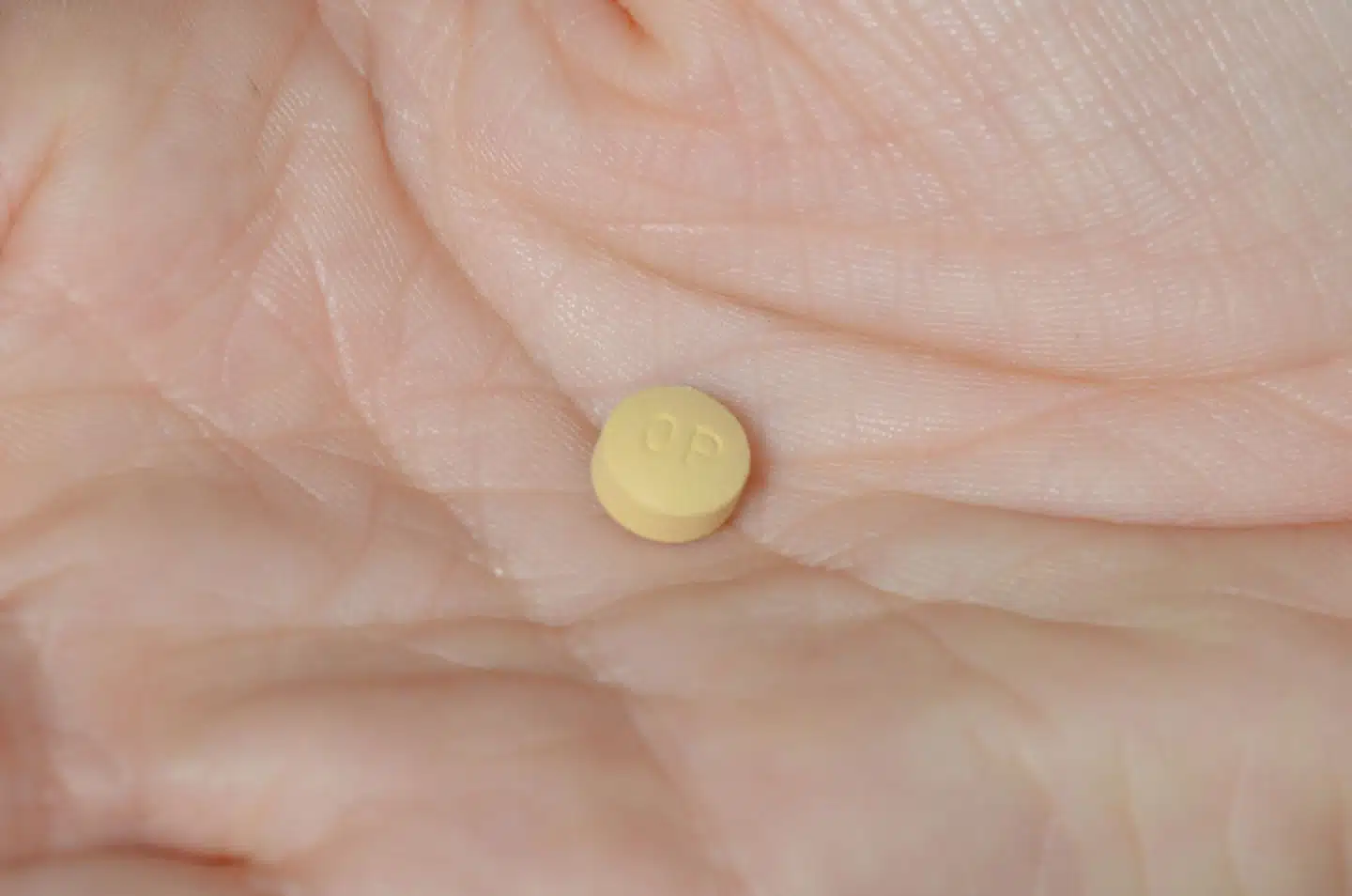Kun højest en ud af hundrede bliver afhængig, lyder det i OxyContin produktresumé den dag i dag. Foto: Photo Researchers, Scanpix