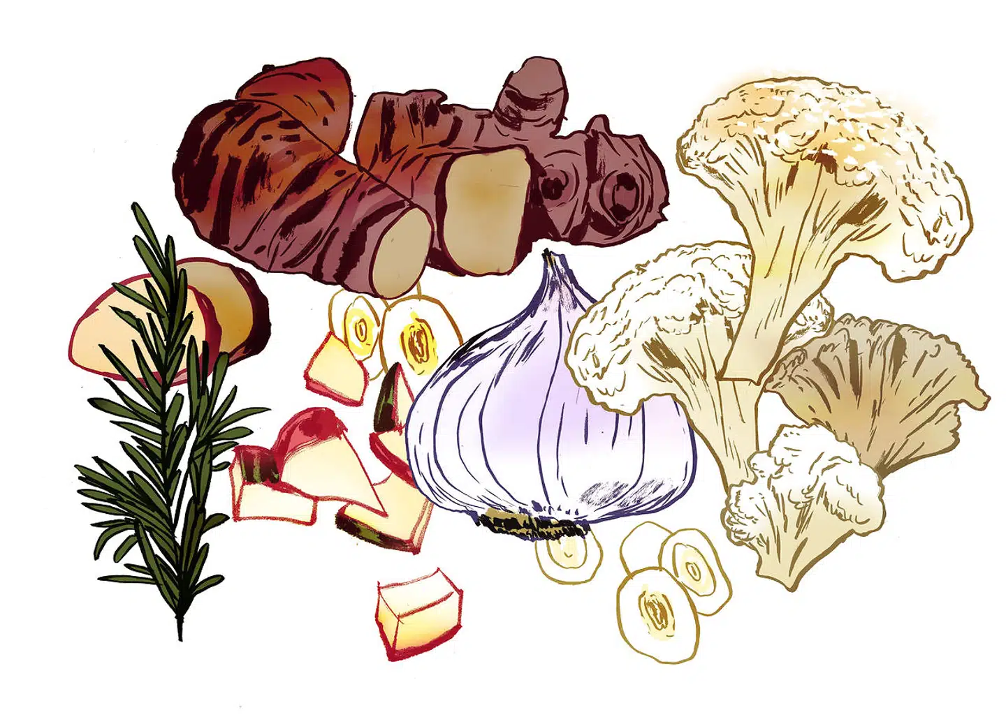 Illustration: Rasmus Meisler
