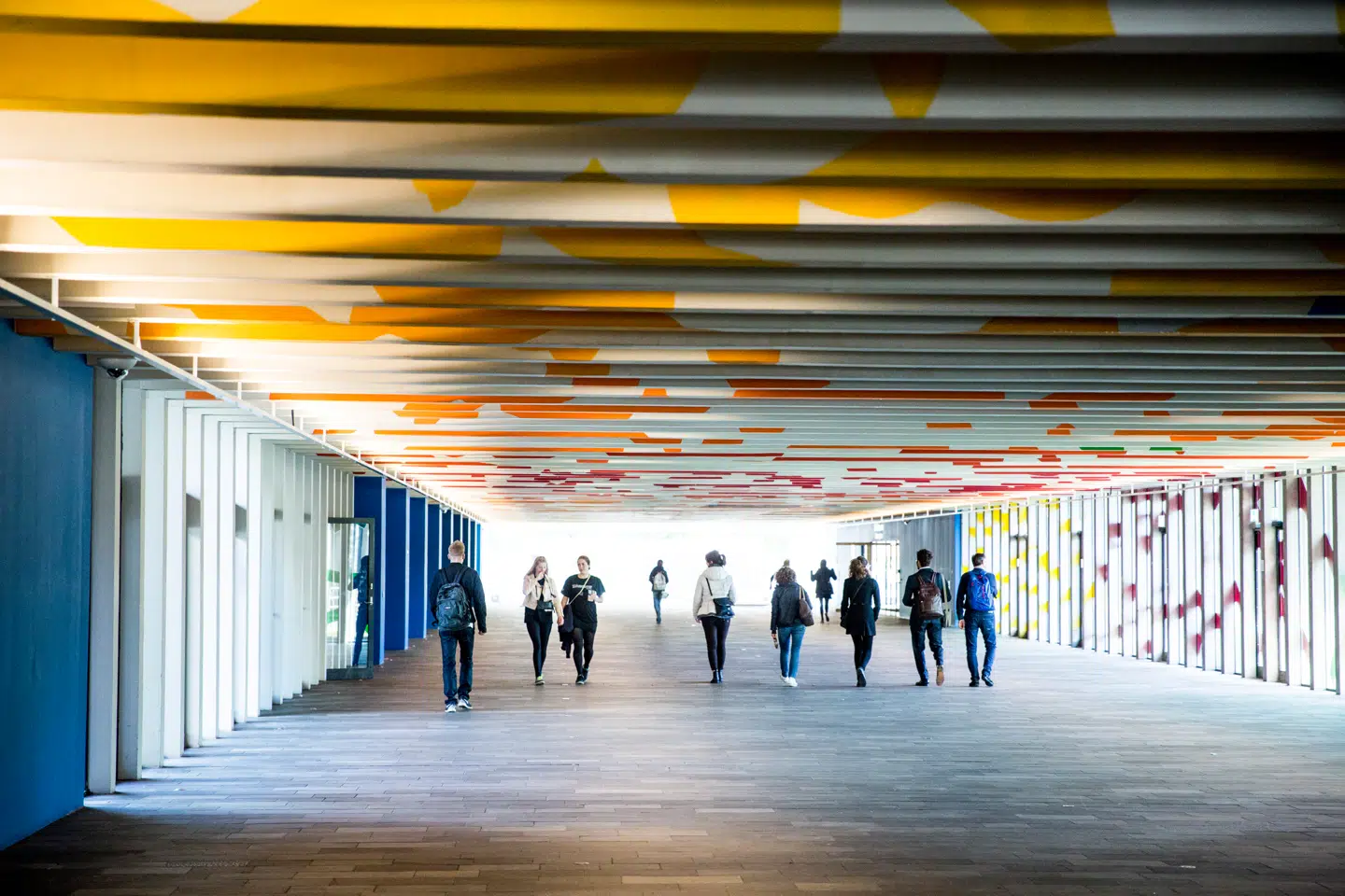 Virksomhedernes behov for ingeniører, dataloger og fysikere bliver langtfra dækket. Foto: Nikolai Linares, Scanpix