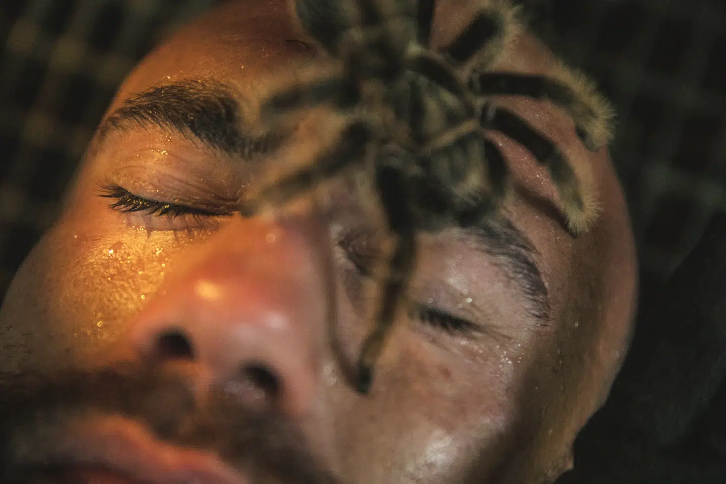 Tarantellen Henning hærder en deltager i Hell Run. Foto: Ólafur Steinar Rye Gestsson