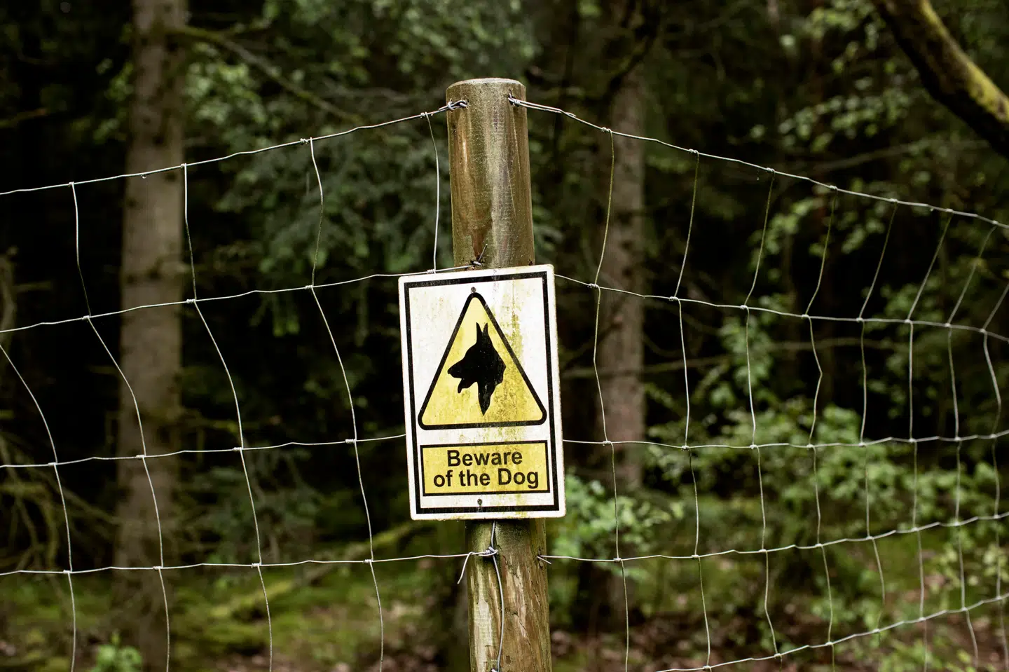 Foto: Tor Birk Trads