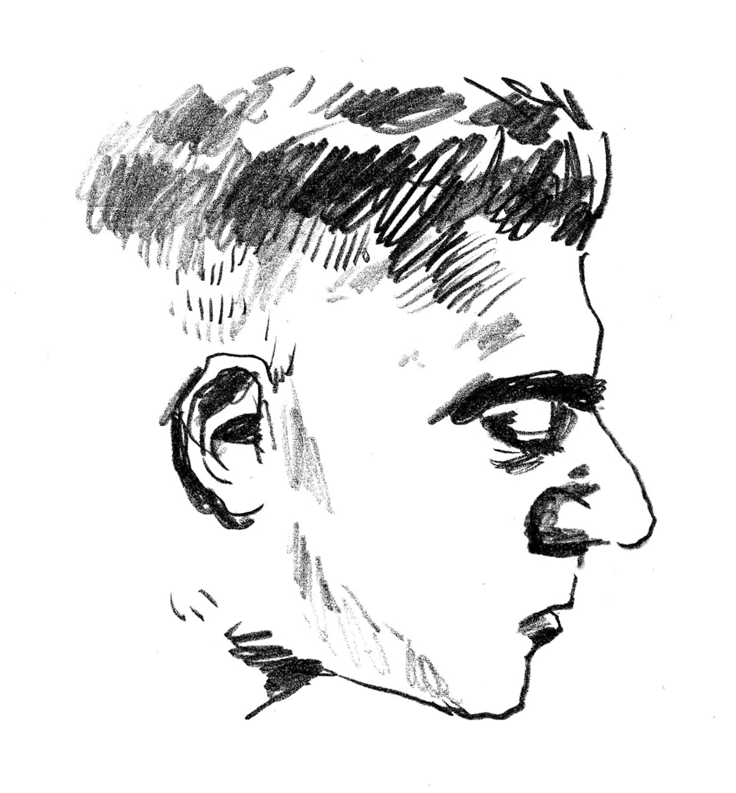 Illustration: Rasmus Meisler