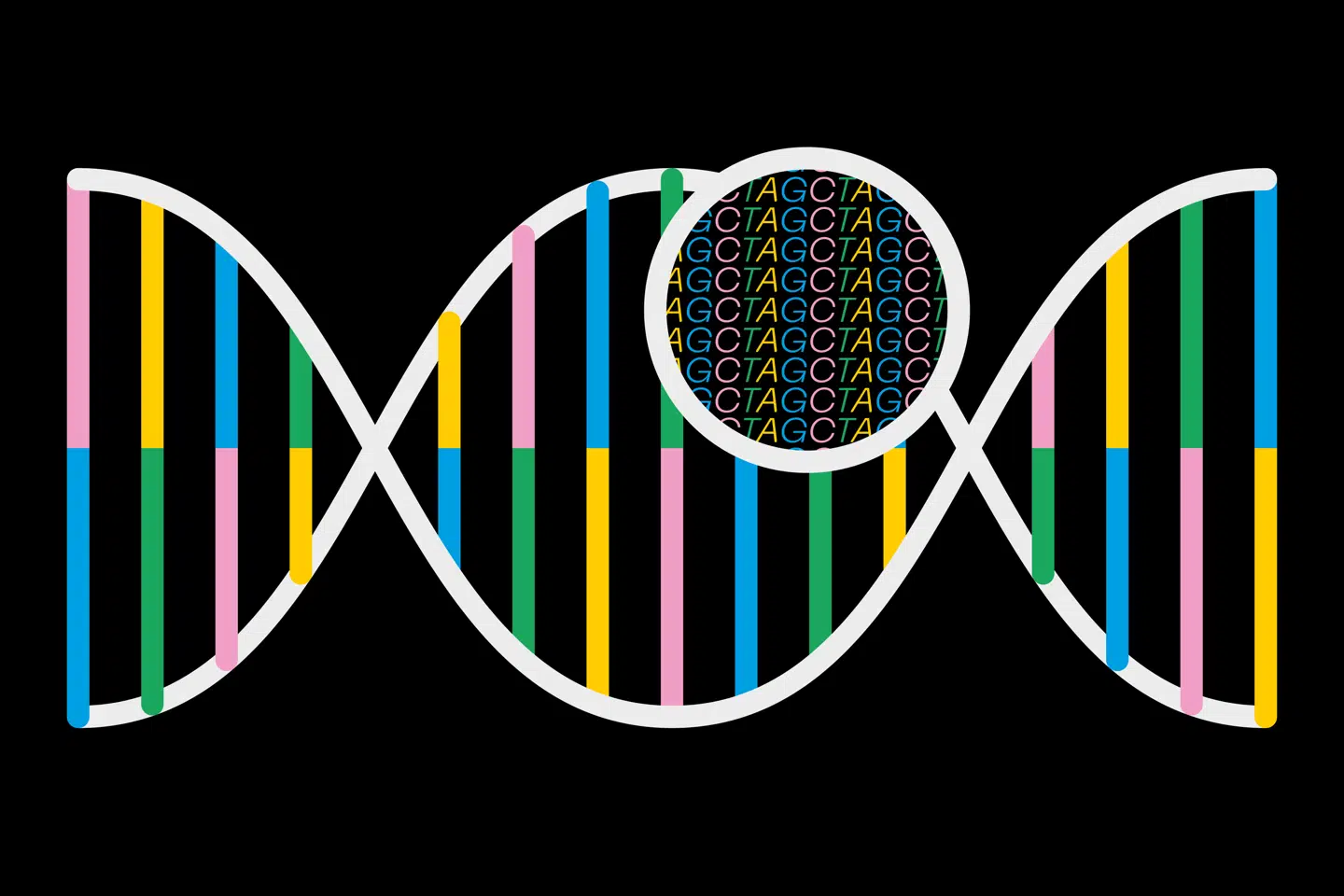 Grafik: Mathias Hoeg