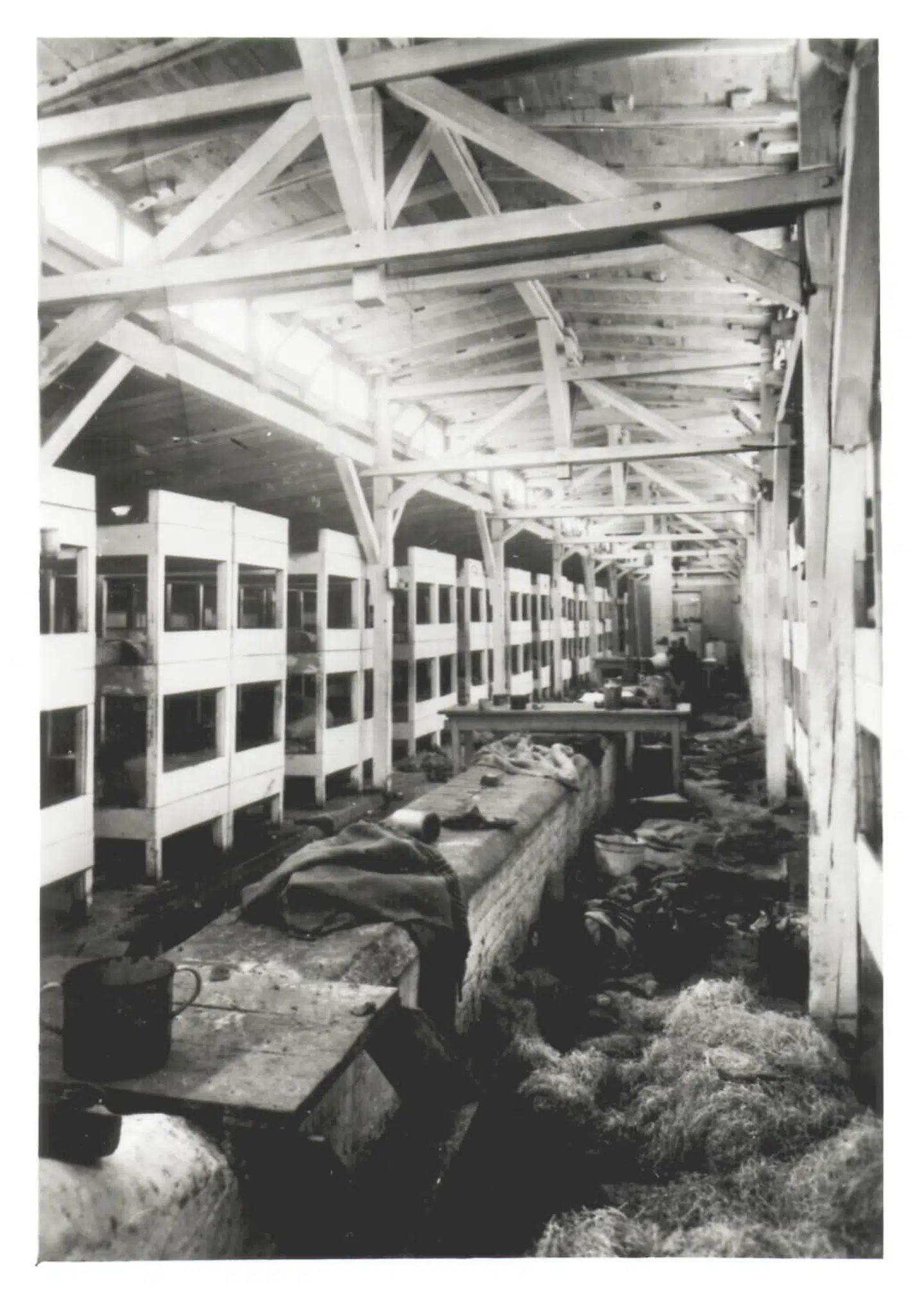 »Det var Auschwitz. Jeg kan meget, meget tydeligt huske, at jeg lagde mærke til lugten af røg og ild. Der var ingen lys udenfor.« Arkivfoto: Stanislaw Mucha, Scanpix