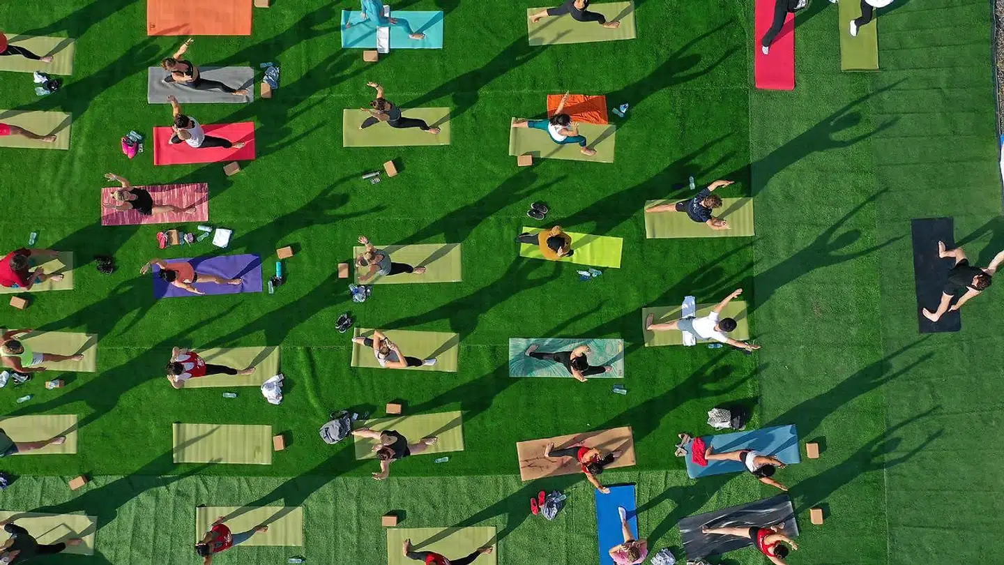 »Det antydes, at jeg er med i en sekt, der sniger buddhisme ind i skolen, sundhedsvæsnet og politik. Jeg prædiker gerne mental sundhed, miljø og kærlighed, men jeg missionerer ikke skjult buddhisme,« forklarer Lone Overby Fjorback. Foto: Giuseppe Cacace, Scanpix