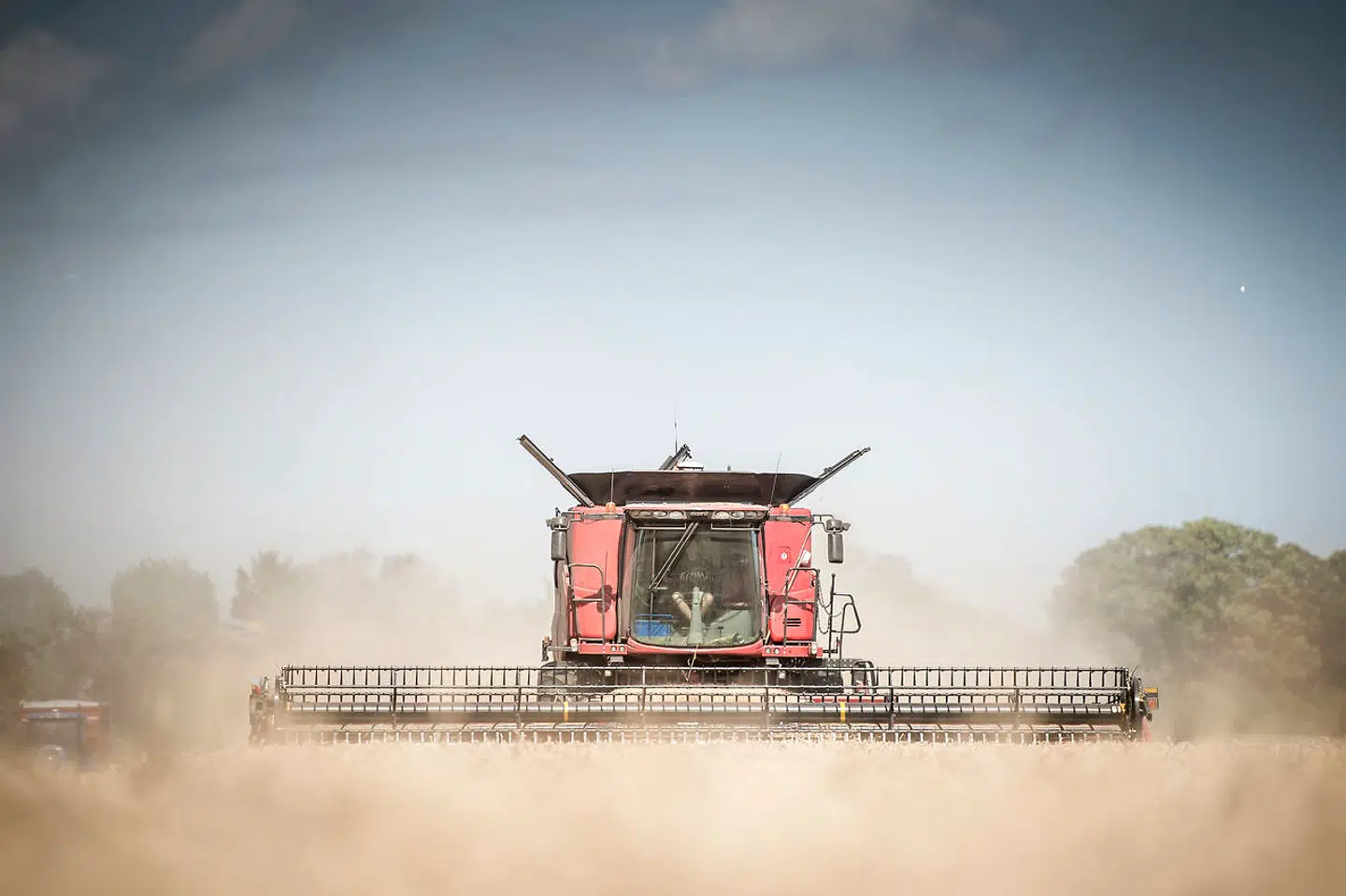 Foto: Mads Claus Rasmussen/Ritzau Scanpix