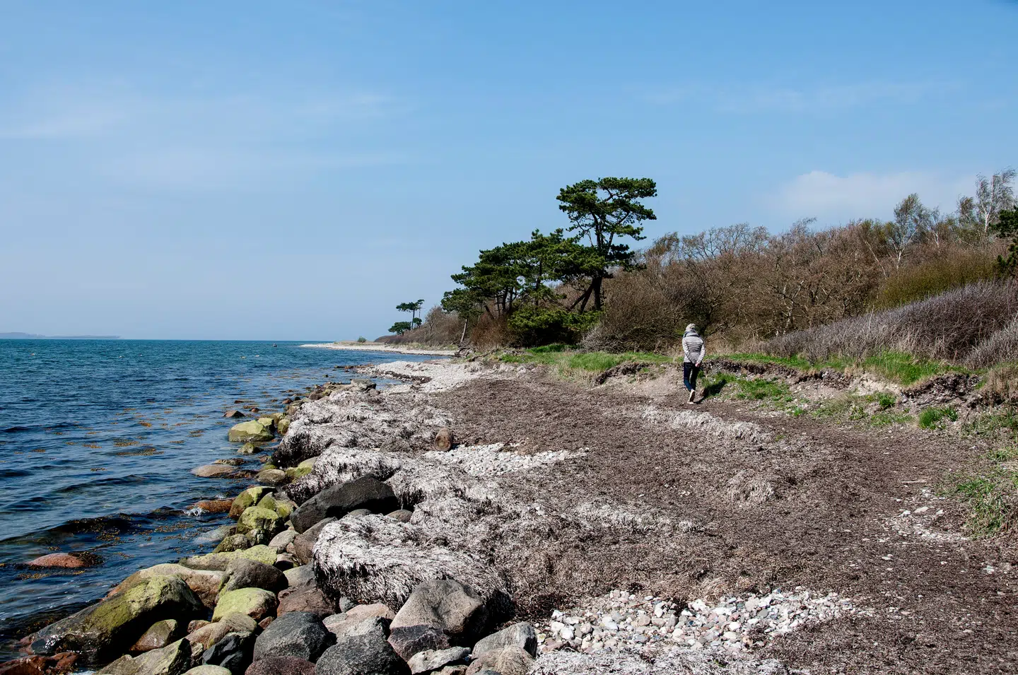 For nylig anløb et tankskib Stigsnæs med cirka 23.500 tons lænsevand. Kysten tæt på rensningsanlægget. Foto: Hans Meineche. Scanpix