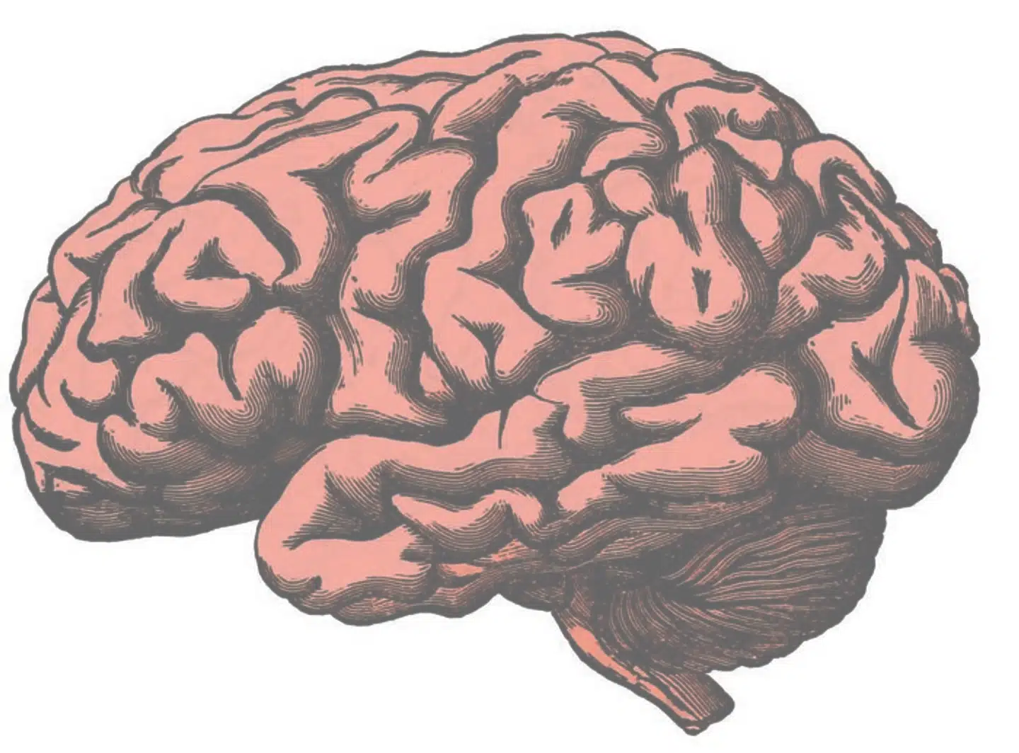 Nervesystemet skal ofte have lidt ro til at hele op. Derfor rimer en hjernerystelse dårligt på et job i videnssamfundet.
