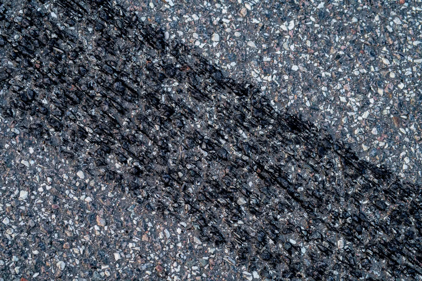 Bevismateriale: To biler dekorerer asfalten med solide bremsespor, kaldet 'brændere', inden nattens første dueller skydes i gang. Foto: Janus Engel Rasmussen