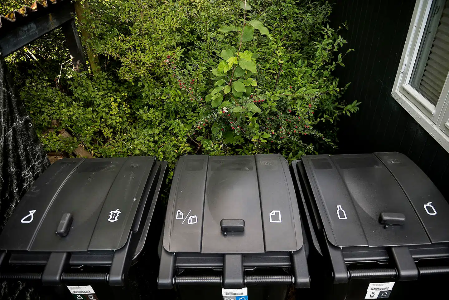 Gennemgribende klimavenlige ændringer kræver en systemisk omstrukturering, der kun kan ligge på politisk plan, skriver debattørerne. Foto: Liselotte Sabroe / Ritzau Scanpix
