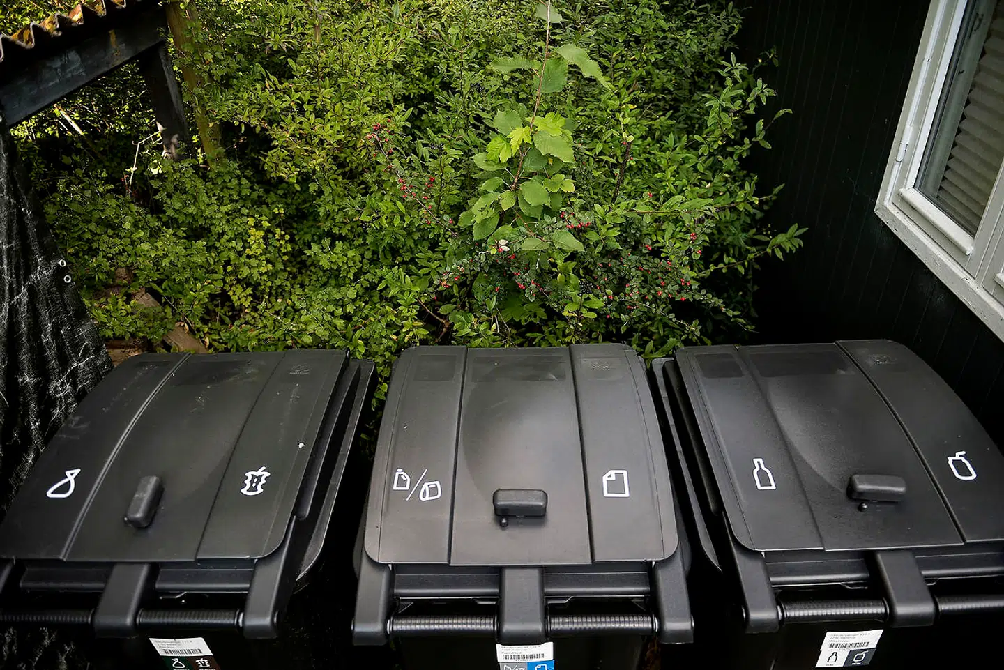 Gennemgribende klimavenlige ændringer kræver en systemisk omstrukturering, der kun kan ligge på politisk plan, skriver debattørerne. Foto: Liselotte Sabroe / Ritzau Scanpix