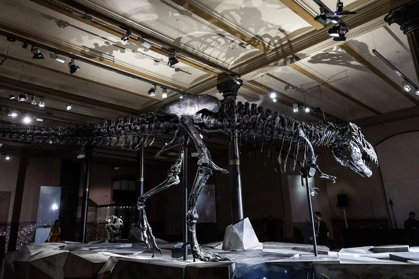 Tristan Otto i Berlin den 24 January 2020. Foto: Ritzau Scanpix