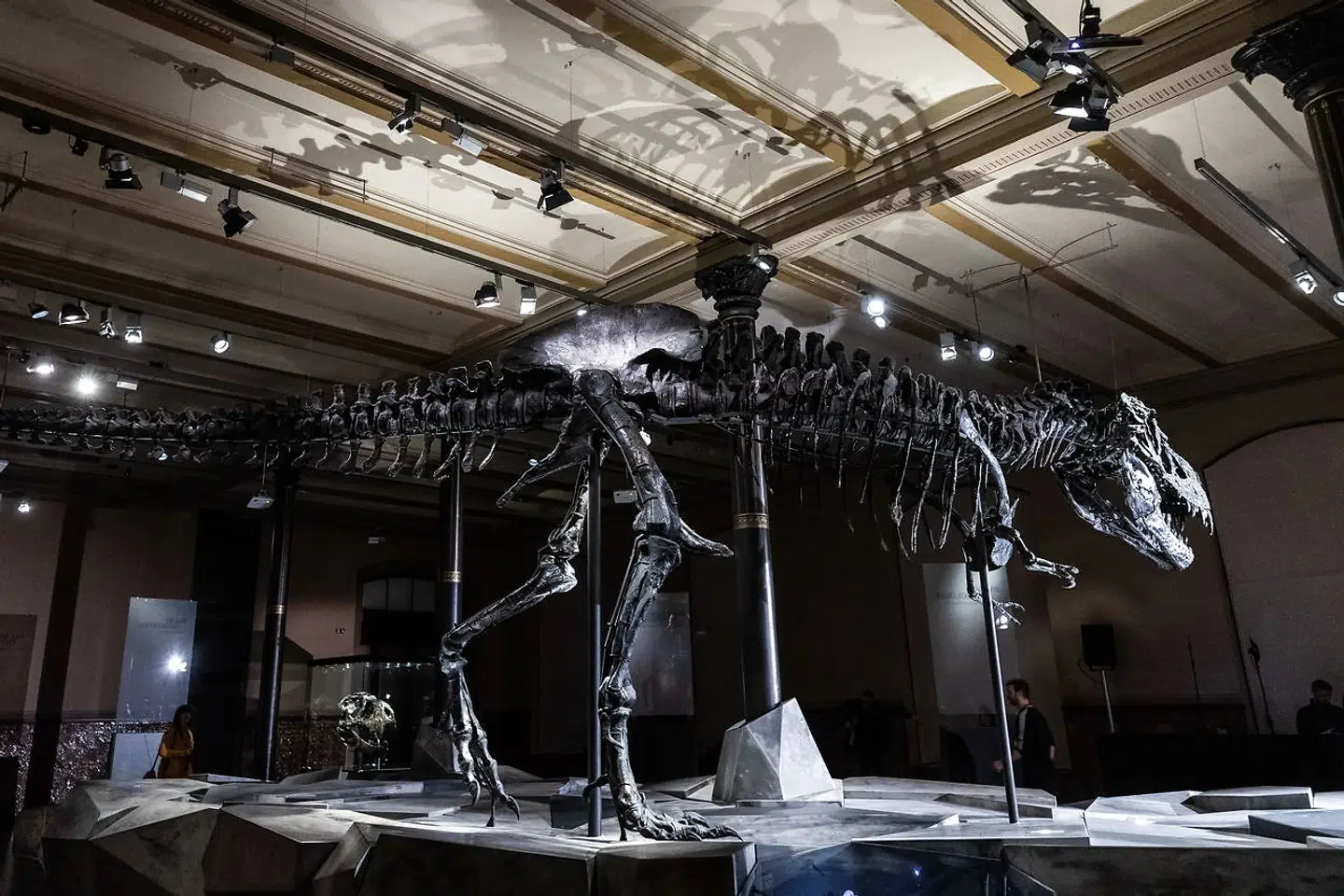 Tristan Otto i Berlin den 24 January 2020. Foto: Ritzau Scanpix