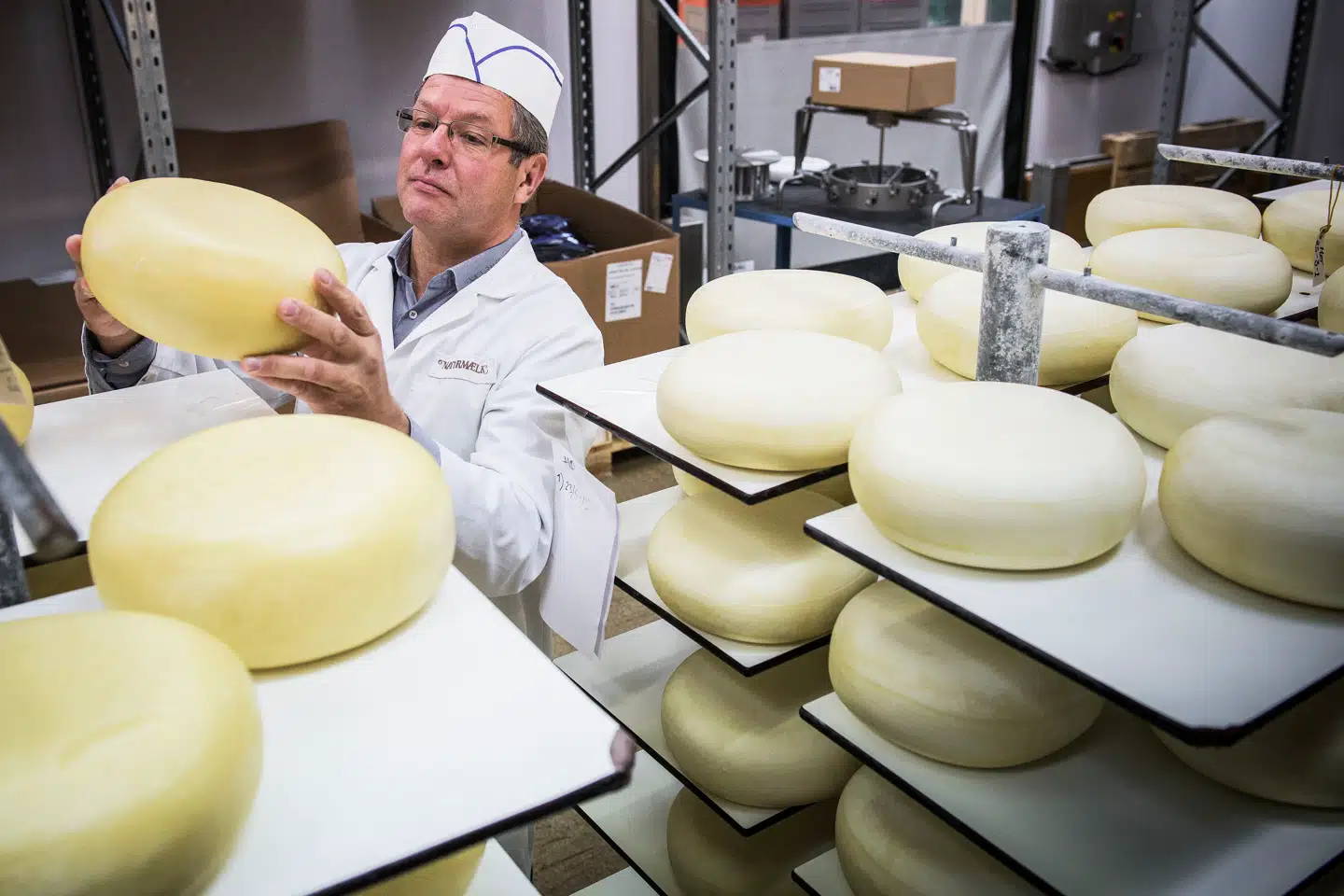 Leif Friis Jørgensen: »Som mejeri er vi en del af verdens fødekæde, der ikke accepterer at holde lukket. Hverken mellem jul og nytår, når græsset tørrer ud om sommeren eller under en virusepidemi.« Foto: Casper Dalhoff, Scanpix.