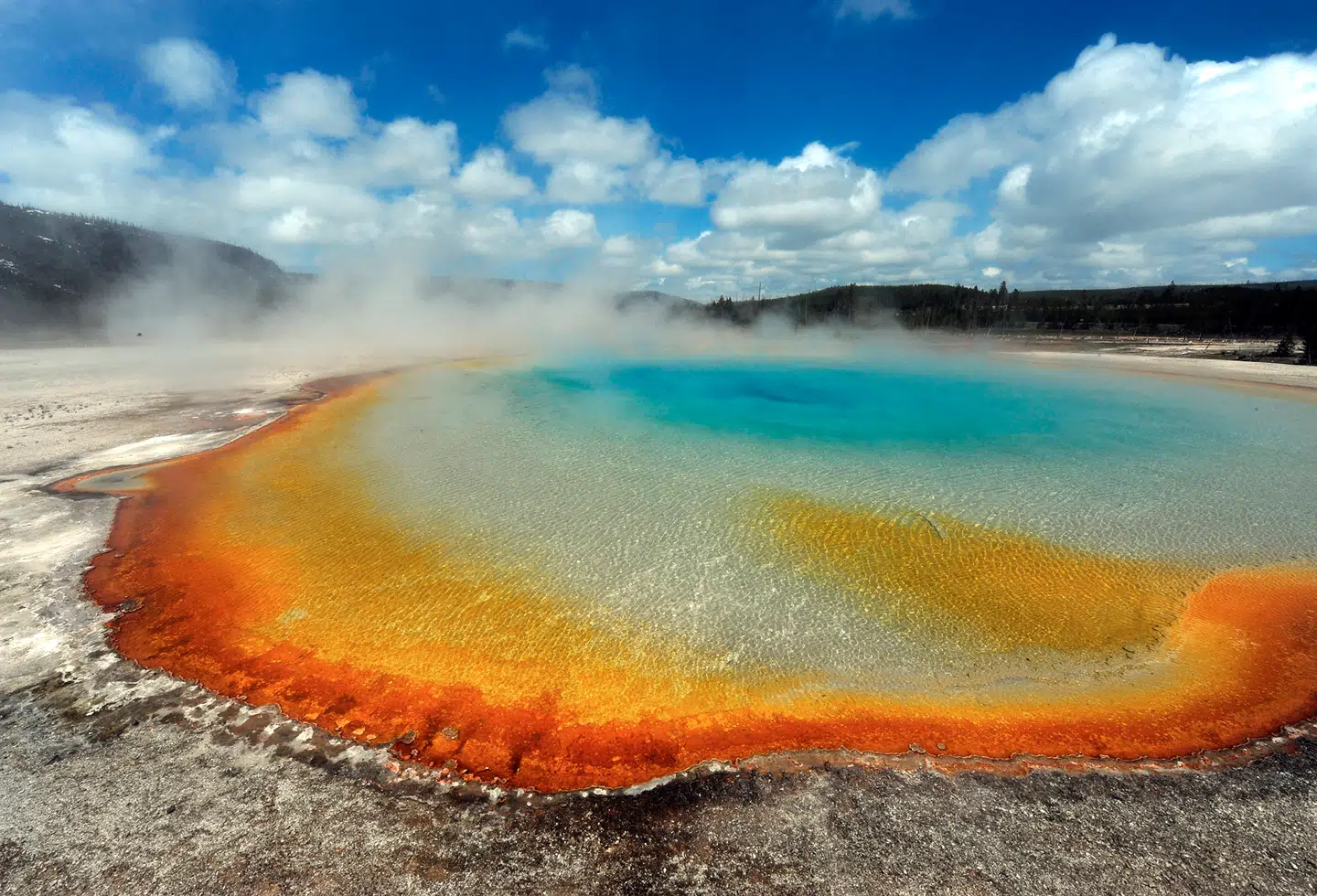 Vandet i den amerikanske nationalpark Yellowstones varme kilder er ofte kogende. Alligevel lever der bakterier. Foto: MARK RALSTON, AFP/Scanpix