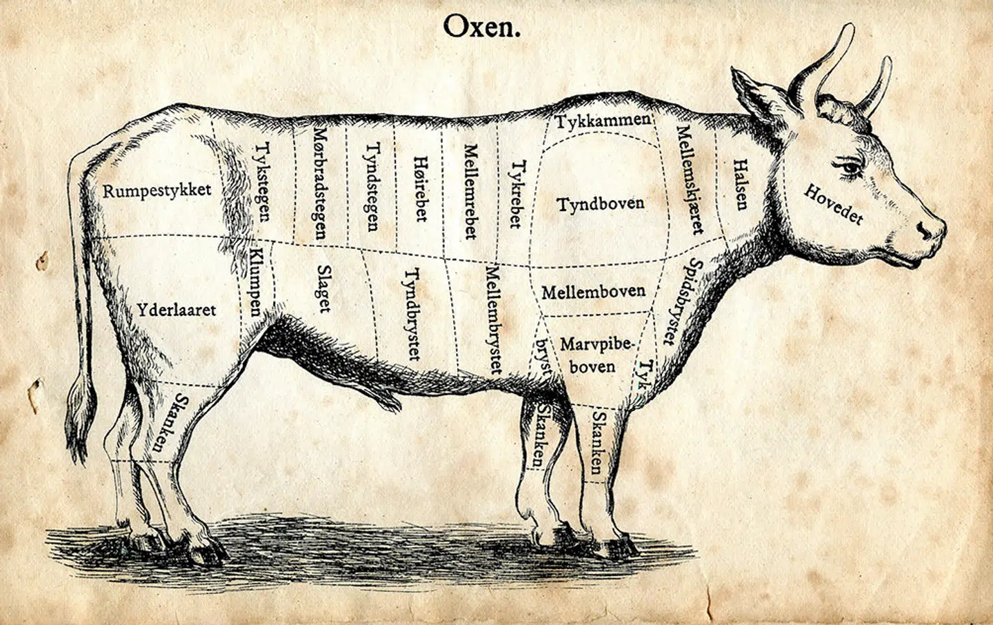 Anvisningerne i Madam Mangors kogebog var gode at have ved hånden på farmen, hvor der ikke var en slagter henne om hjørnet.