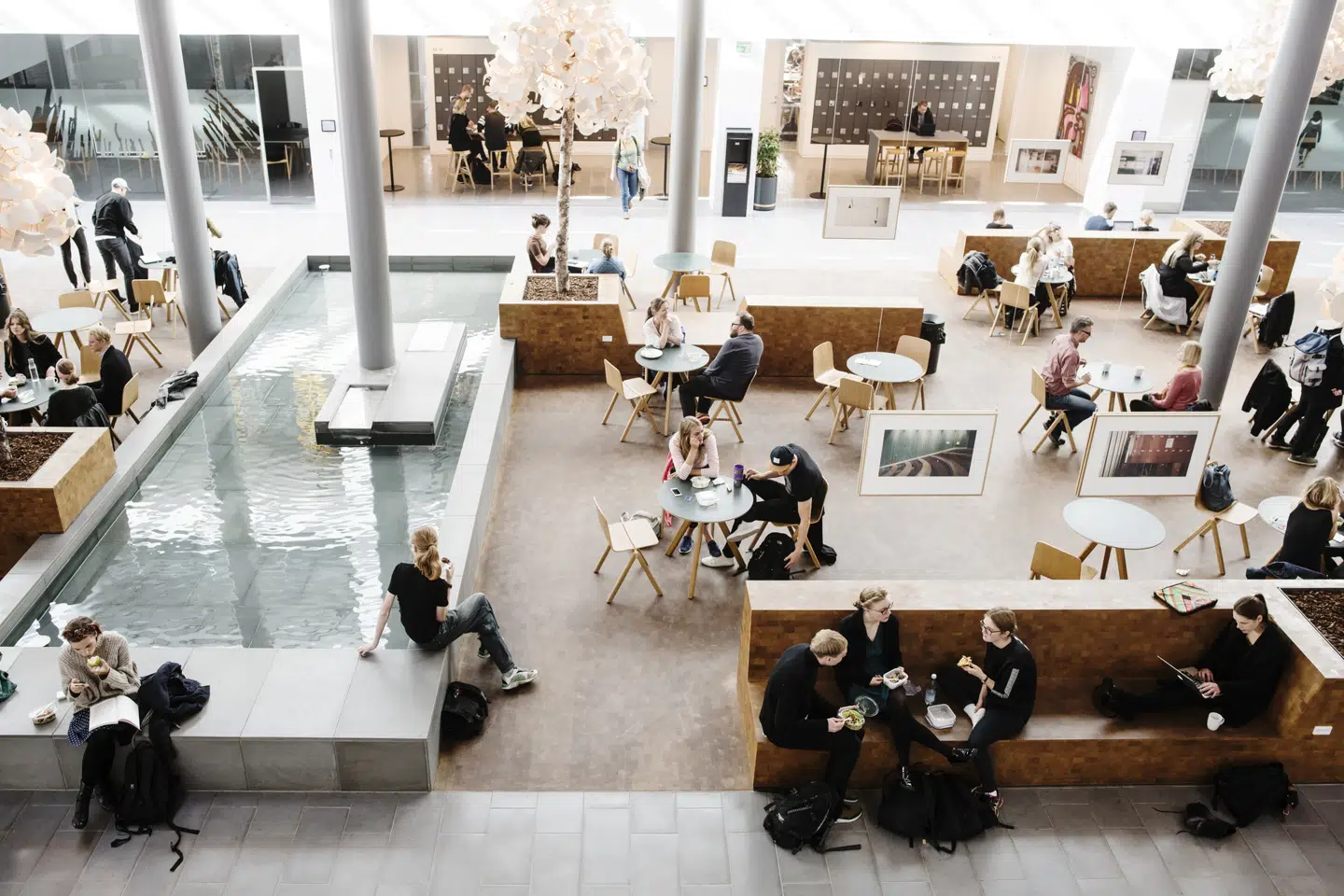 Humaniora er jo en helt ubærligt såret løvinde med så uendeligt mange sår at slikke efter snart fem års markante nedskæringer, at man efterhånden betvivler, om det er et sted, man egentlig kan anbefale kommende generationer at søge hen. Foto: Jakob Dall/Presse