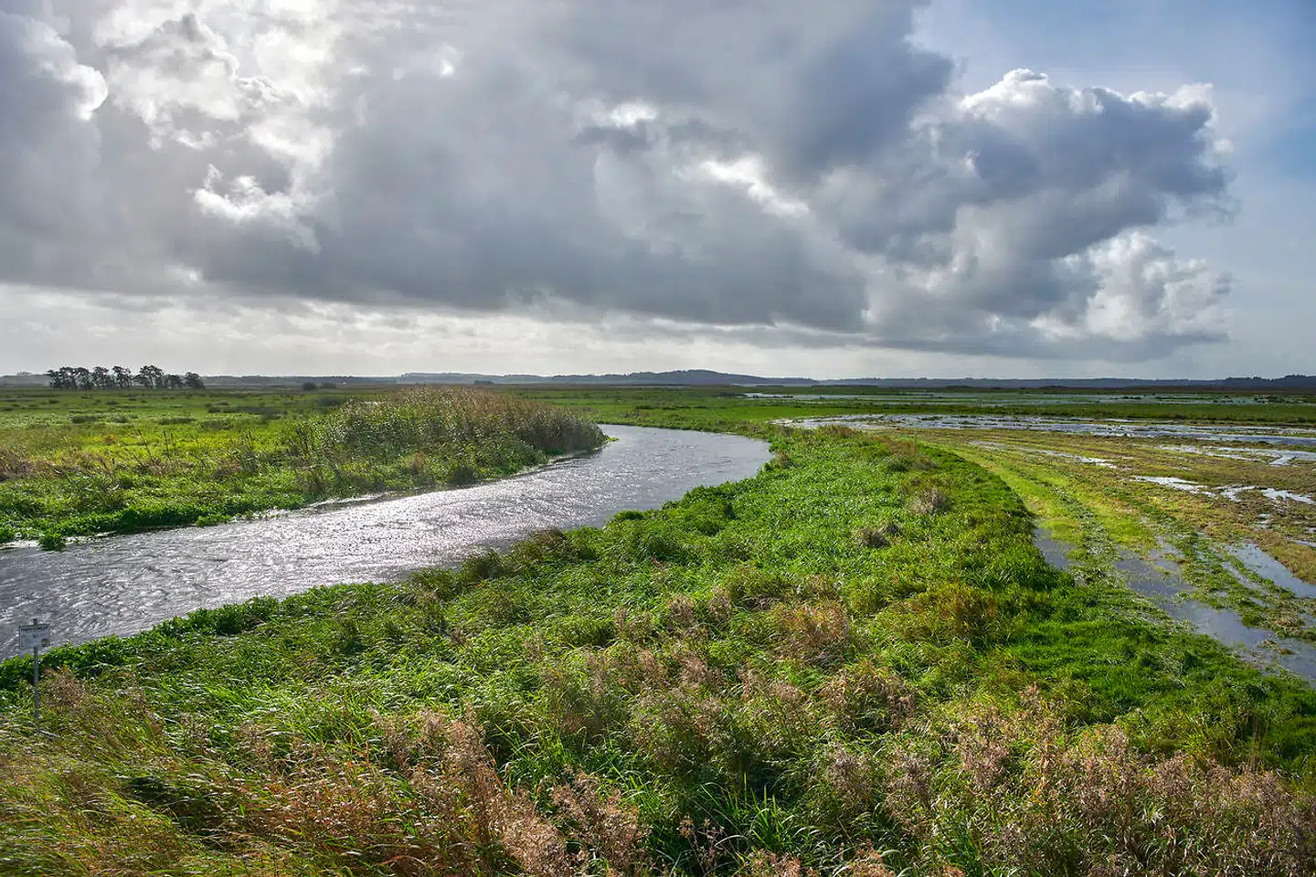 Vandløbsloven, der regulerer udnyttelsen af vore vandløb, bør blive revideret. Arkivfoto: Morten Rasmussen.