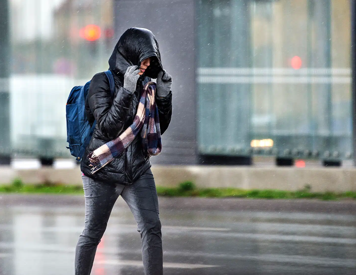 Interviewundersøgelsen peger på vigtigheden af lokale venskaber, som også ressourcestærke indvandrere kan have svært ved at etablere. Foto: Henning Bagger/Ritzau Scanpix.