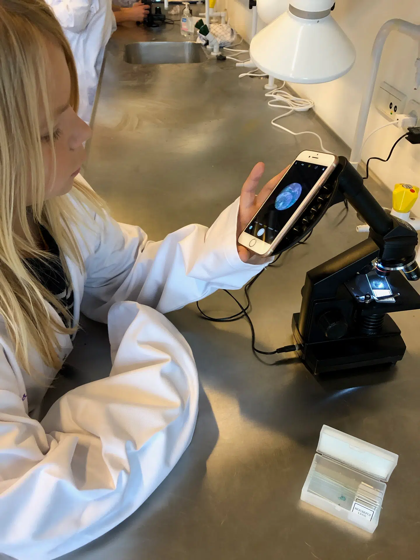 På telefonen kan børnene se forskellige celler, der sidder helt tæt på hinanden. Foto: Kristoffer Lottrup