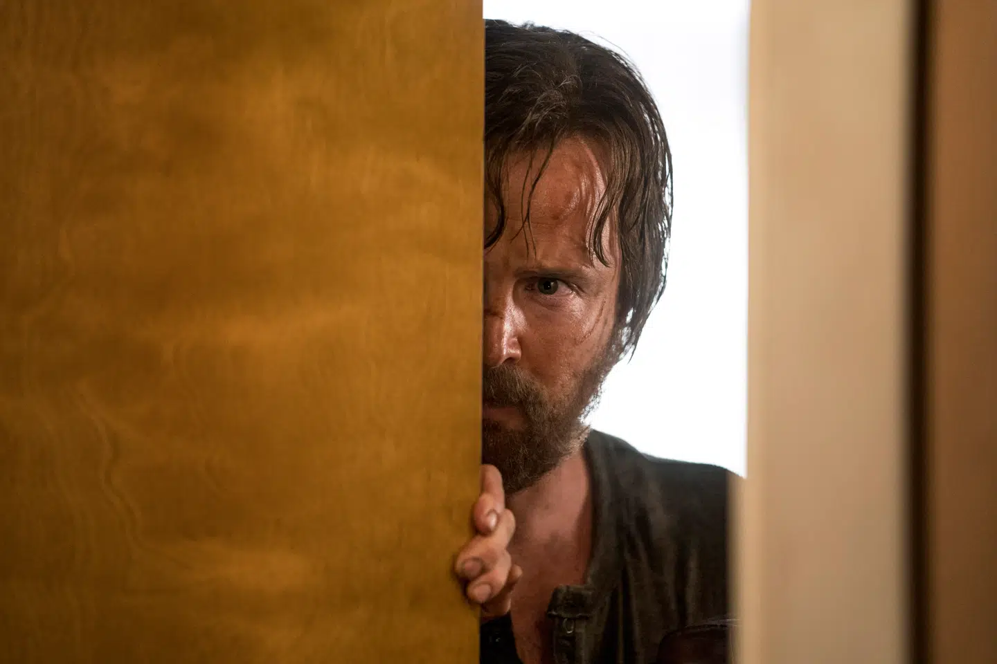 Aaron Paul vender tilbage til gennembrudsrollen som Jesse Pinkman. Det havde han ikke behøvet. Foto: Ben Rothstein/Netflix