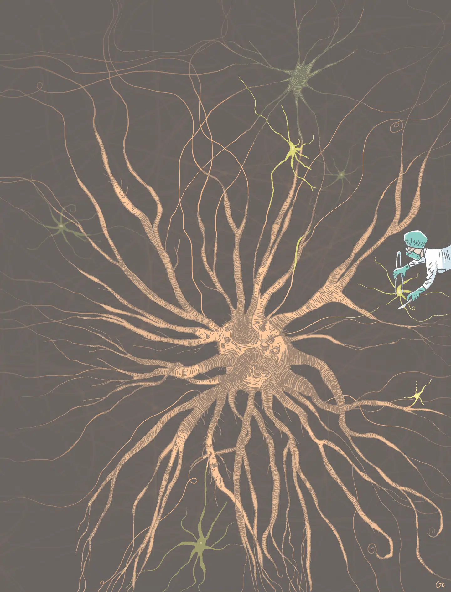 Spansk hjerneforsker har, ved at undersøge ‘frisk’ hjernevæv, dokumenteret at den menneskelige hjerne bliver ved med at producere nye hjerneceller igennem hele livet. Illustration: Gitte Skov