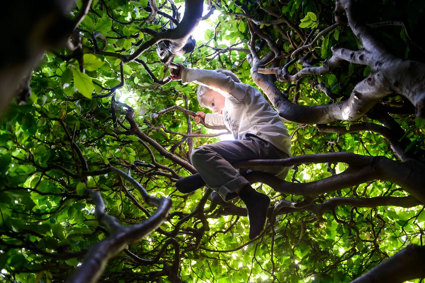 »Ingen børn skal opleve at blive skældt ud af de voksne i deres dagtilbud,« lyder parolen i Børns Vilkårs rapport. Foto: Ritzau Scanpix