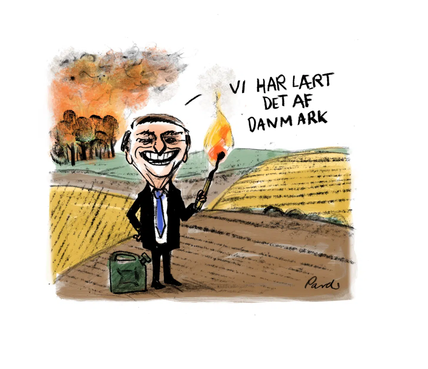 Illustration: Charlotte Pardi