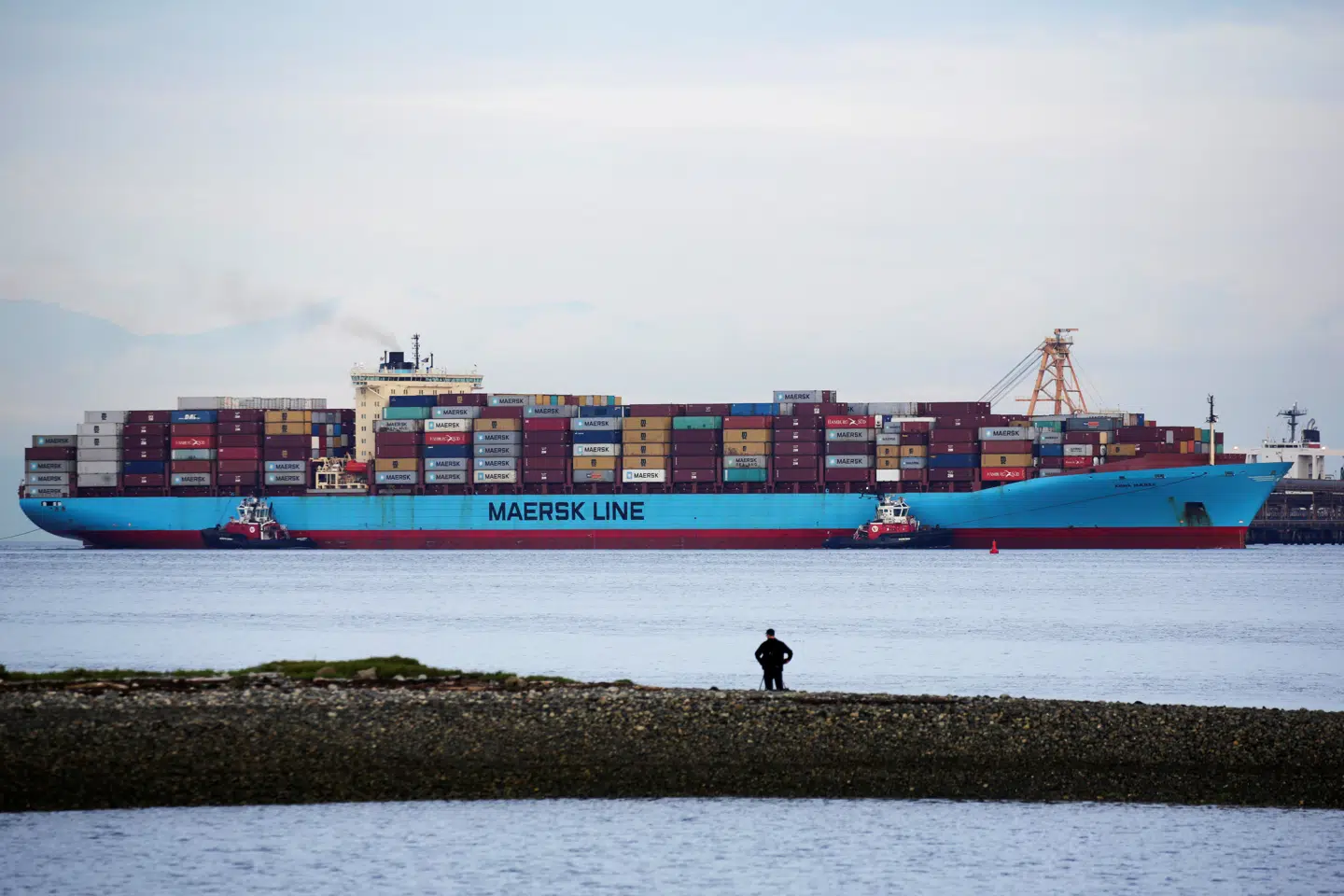 I 2030 vil Mærsk tage de første klimaneutrale skibe i brug. Men det bliver svært at finde planteolie nok til at dække virksomhedens behov. Foto: Jason Redmond / Scanpix