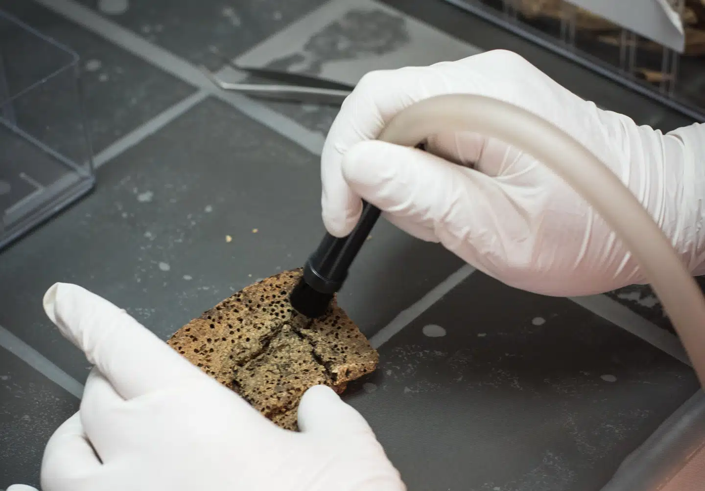 Her suger Cecilie stumperne med en særlig museumsstøvsuger, der ikke er særlig kraftig. Foto: Petra Theibel Jacobsen