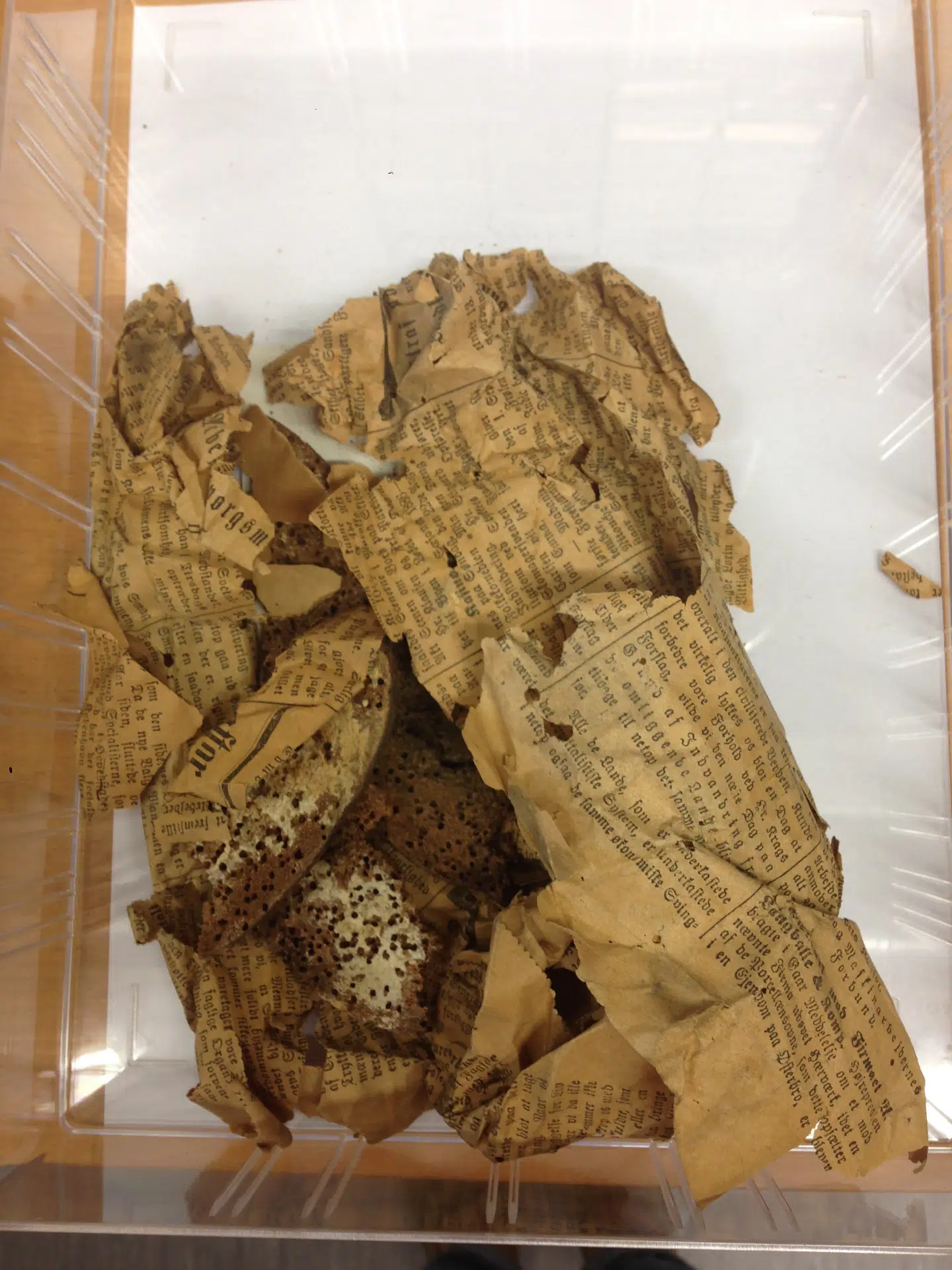 Cecilie fugter papiret med en dampmaskine for at få det til at slappe af, så det ikke var så krøllet. Foto: Petra Theibel Jacobsen