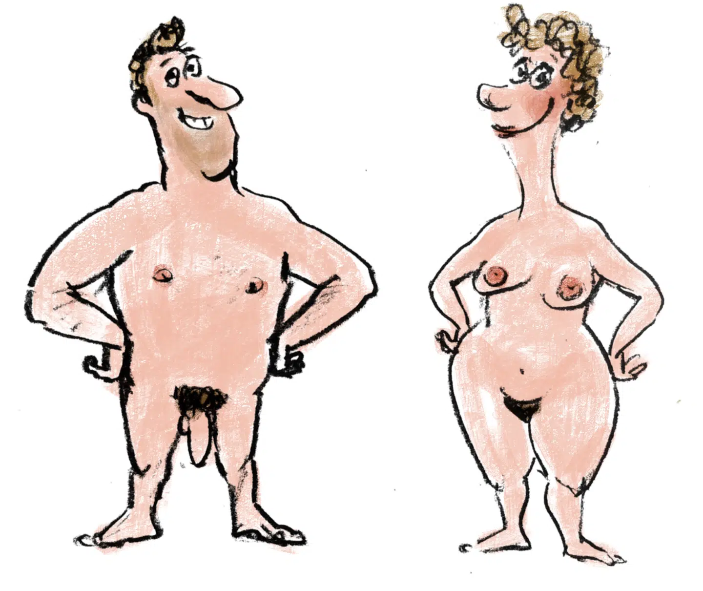 Illustration: Charlotte Pardi