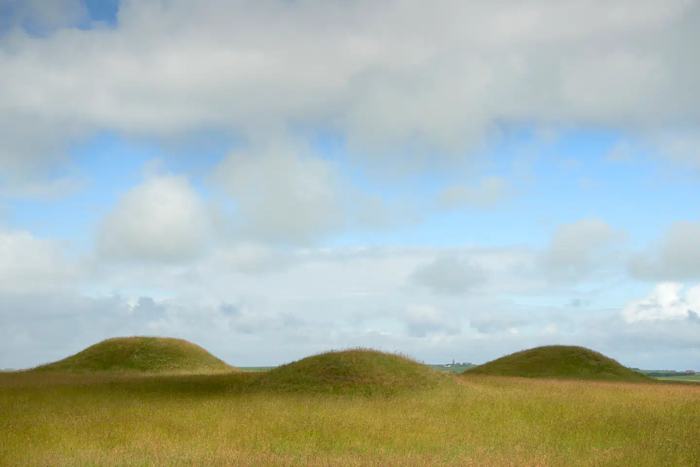 Tre af gravhøjene ved Ramme Dige. Mellem højene anes Bovbjerg Fyr. Foto: Morten Rasmussen