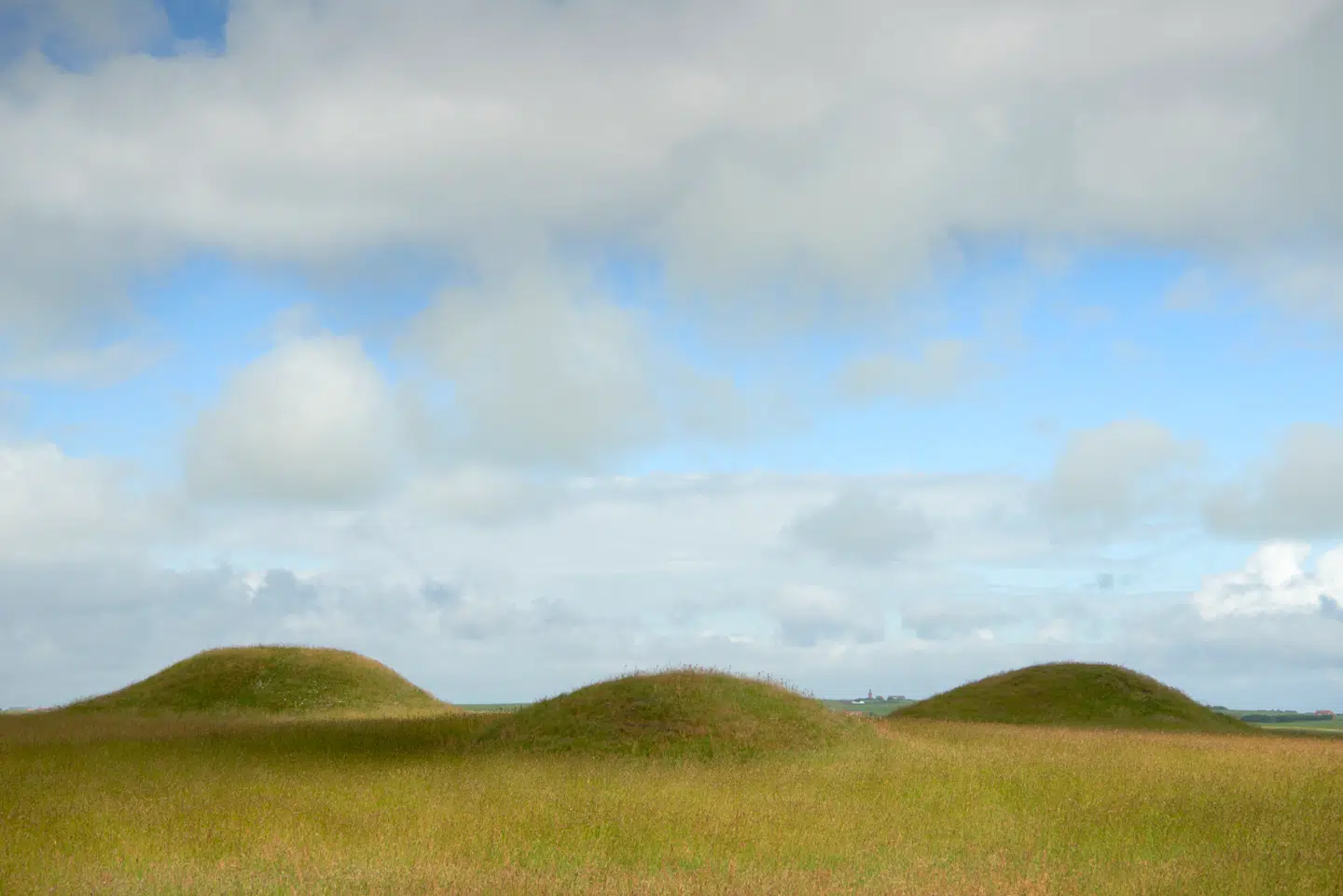 Tre af gravhøjene ved Ramme Dige. Mellem højene anes Bovbjerg Fyr. Foto: Morten Rasmussen