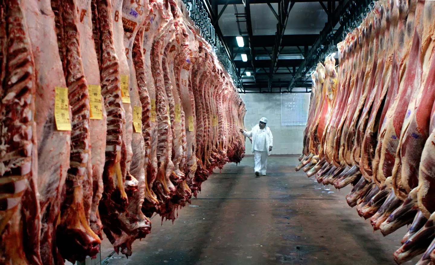 Folk, der kan lide smagen af kød, har større tendens til moralsk at forsvare retten til at spise kød. Men bør smagspræferencer påvirke moralen? Foto: Ritzau Scanpix