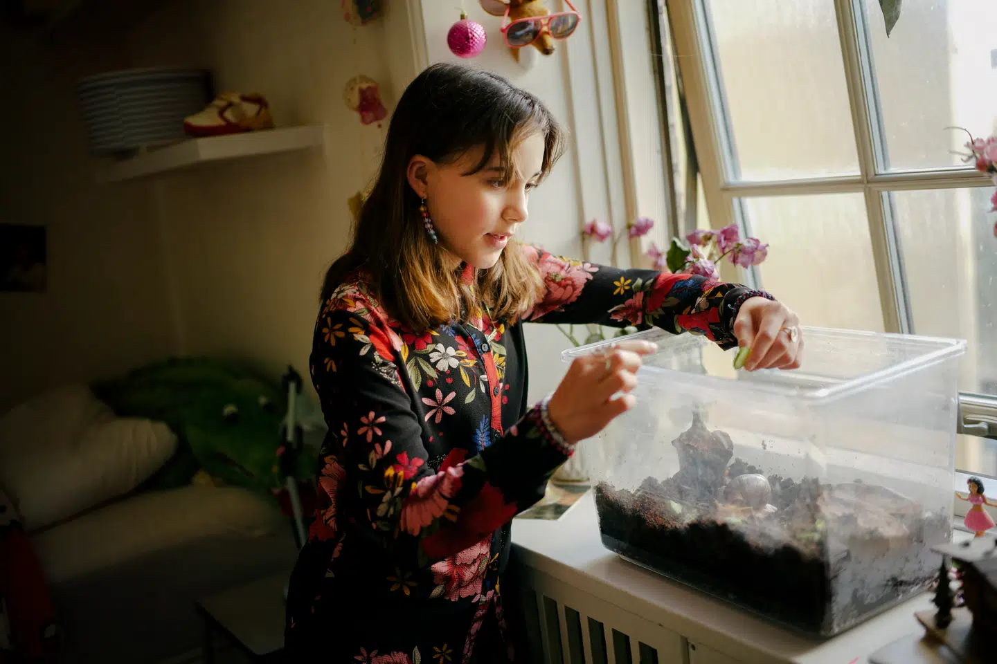 Sneglene bor i en plastickasse med fugtig muldjord. Der skal være låg på, for ellers kravler de hurtigt over det hele – sneglene er hurtigere, end man tror.