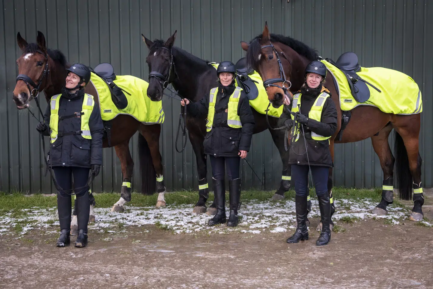 Den nye rytterisektion er allerede kommet i arbejds- og seletøjet. I efteråret deltog to af hestene ved åbningen af Folketinget. FOTO: PETRA THEIBEL JACOBSEN